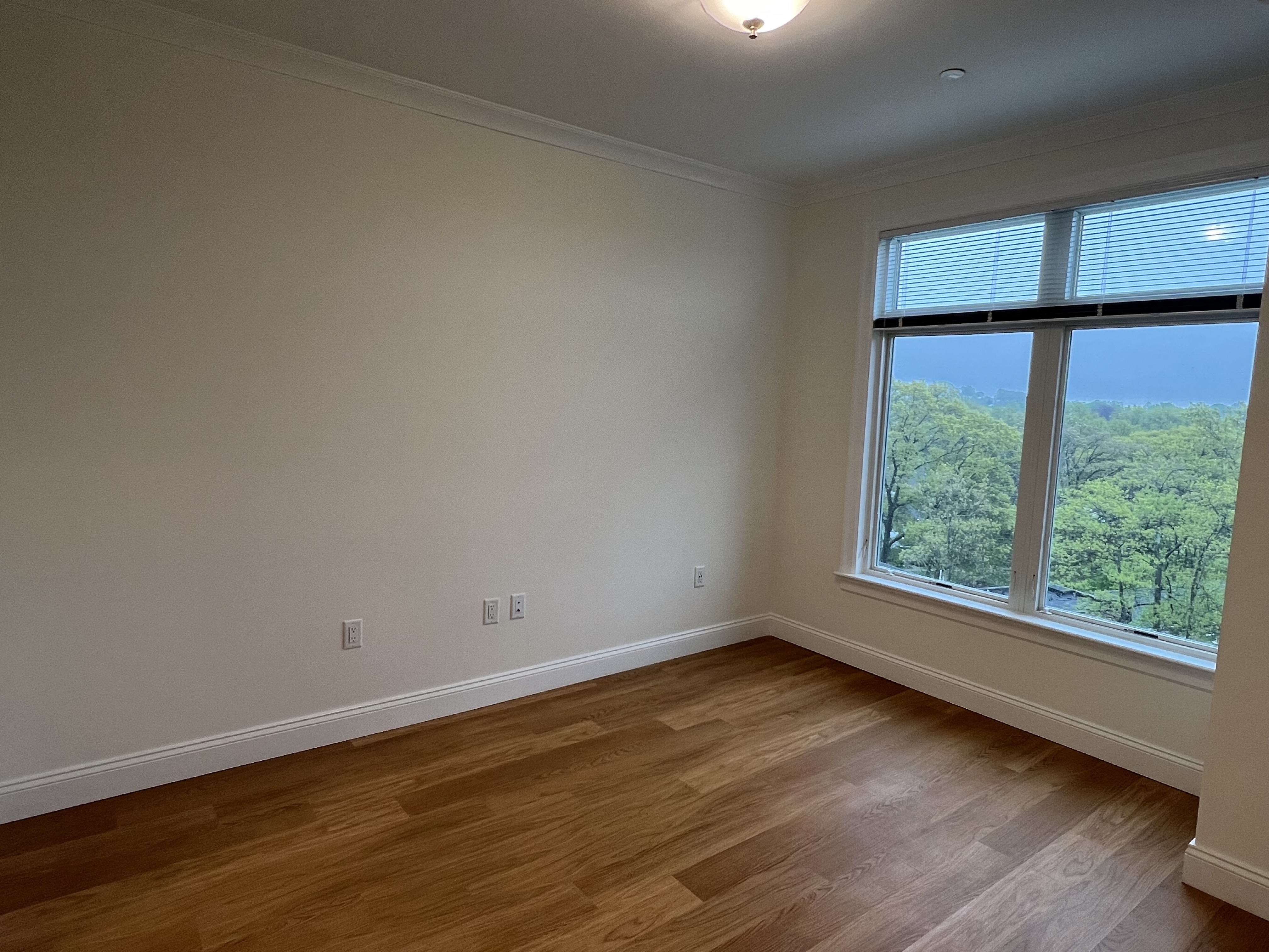 101 Asheville Rd, Chestnut Hill