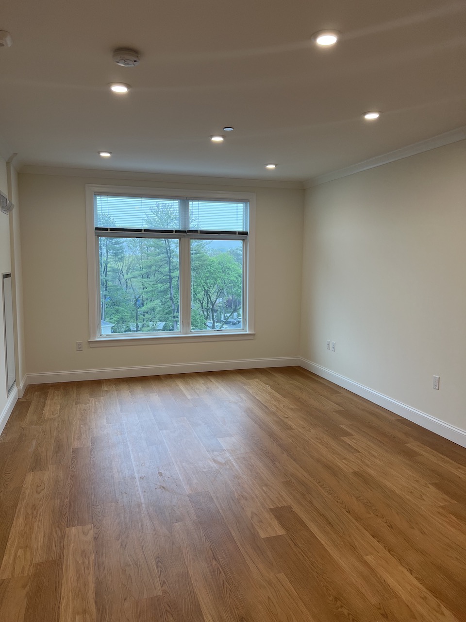 101 Asheville Rd, Chestnut Hill