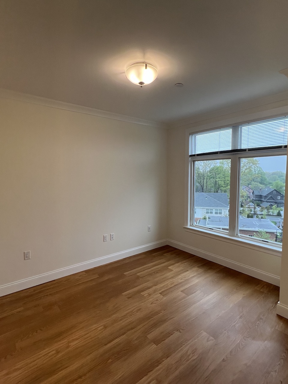 101 Asheville Rd, Chestnut Hill