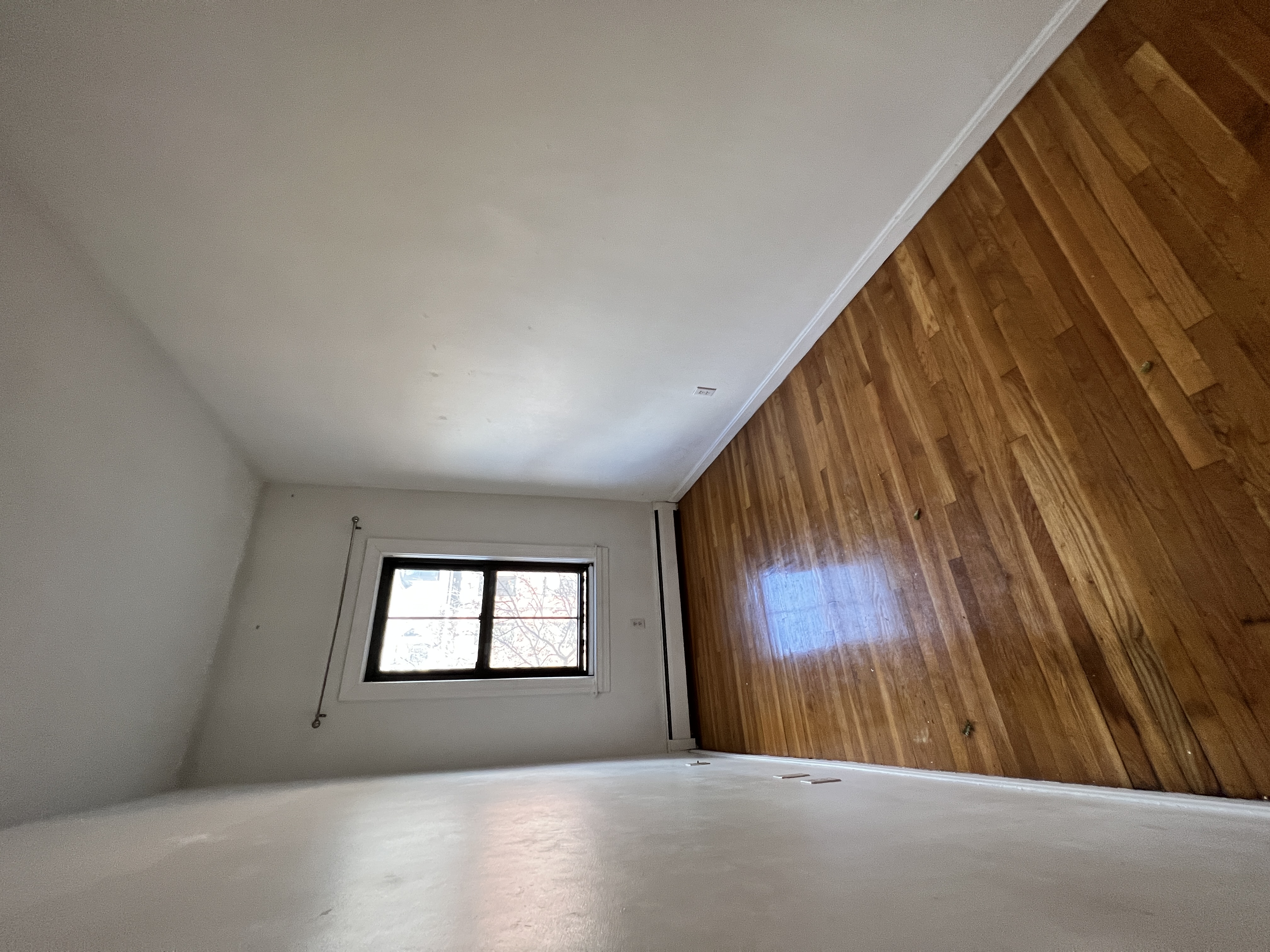 8 Milford St, South End