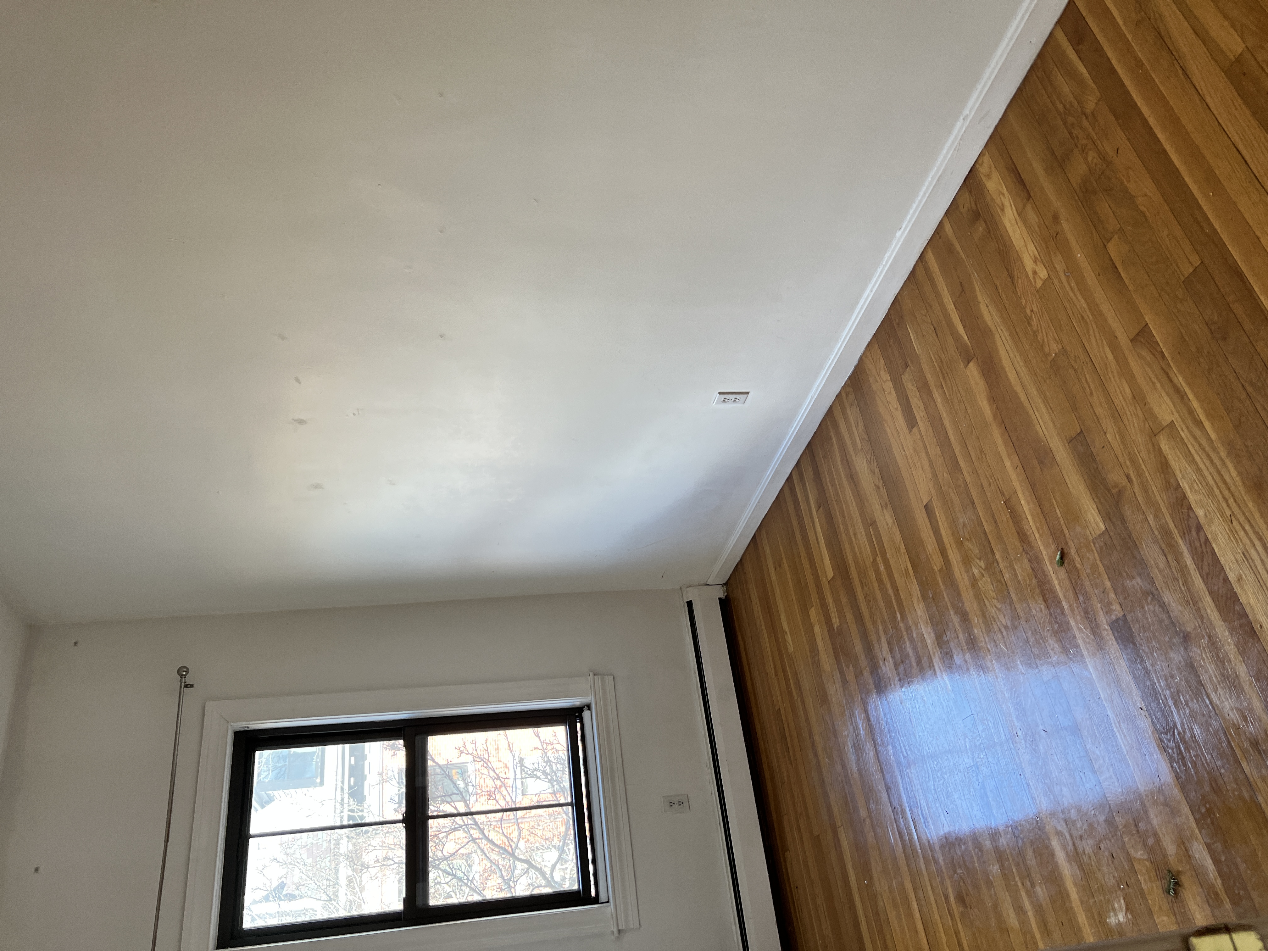 8 Milford St, South End