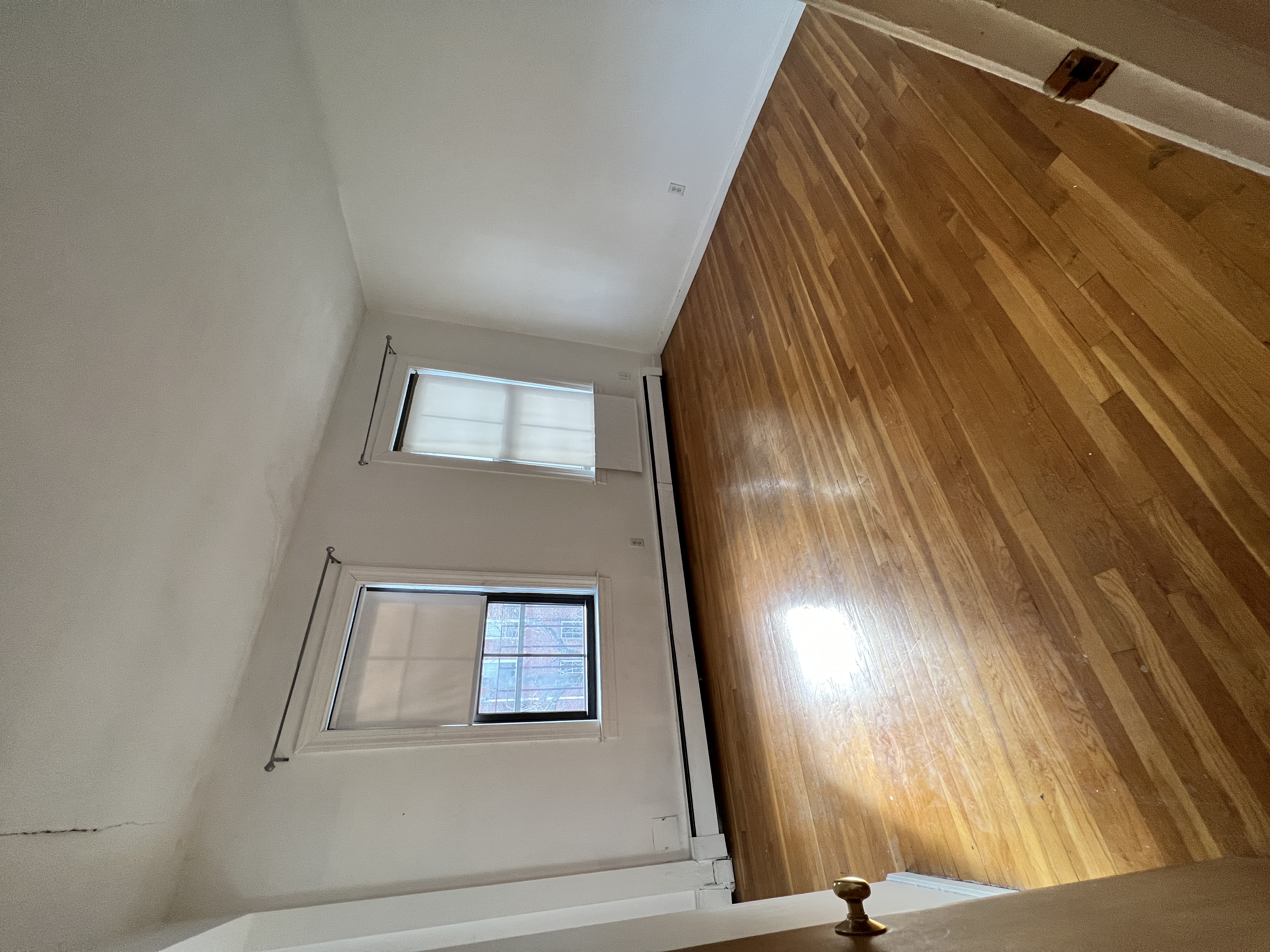 8 Milford St, South End