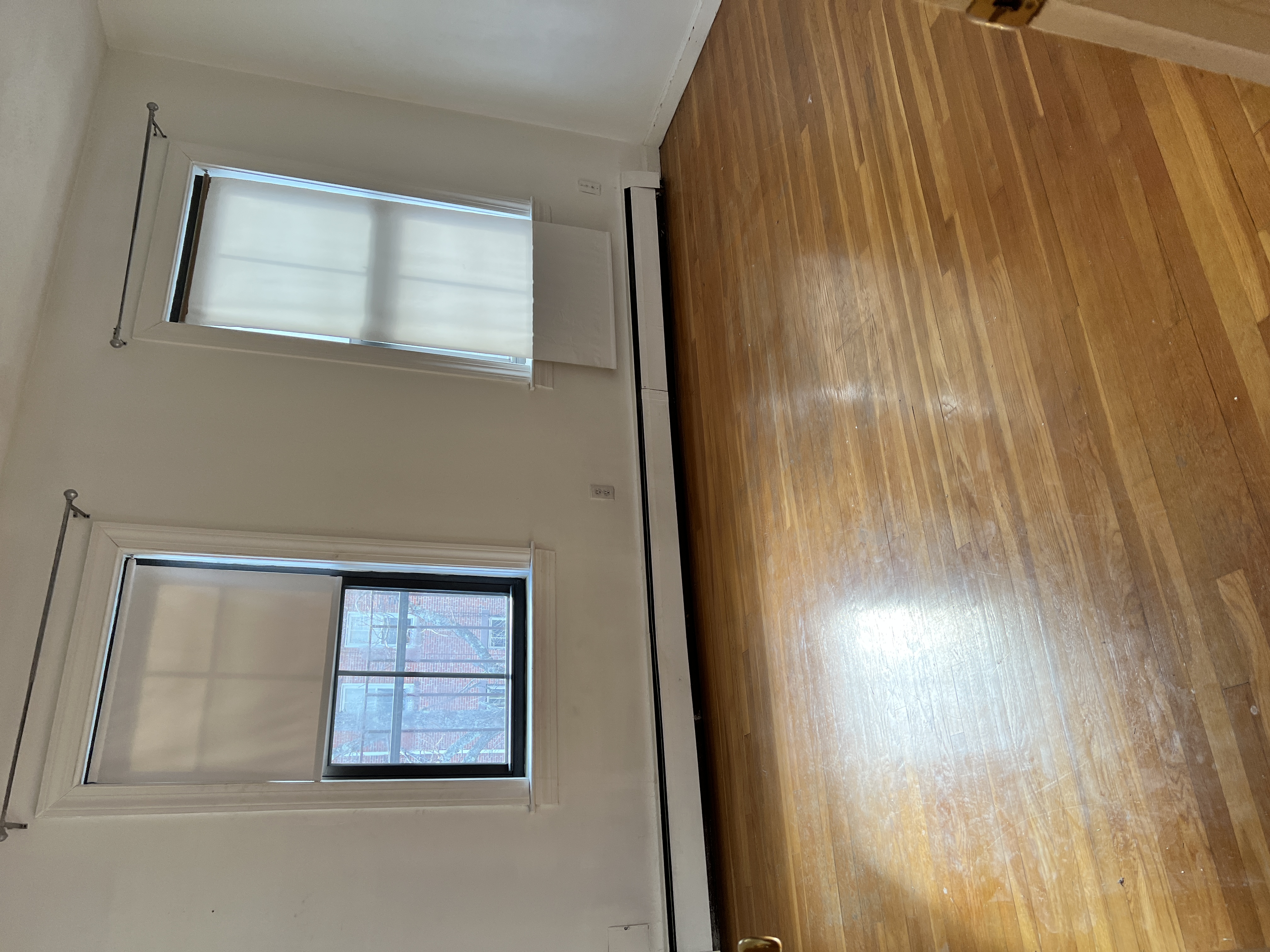 8 Milford St, South End