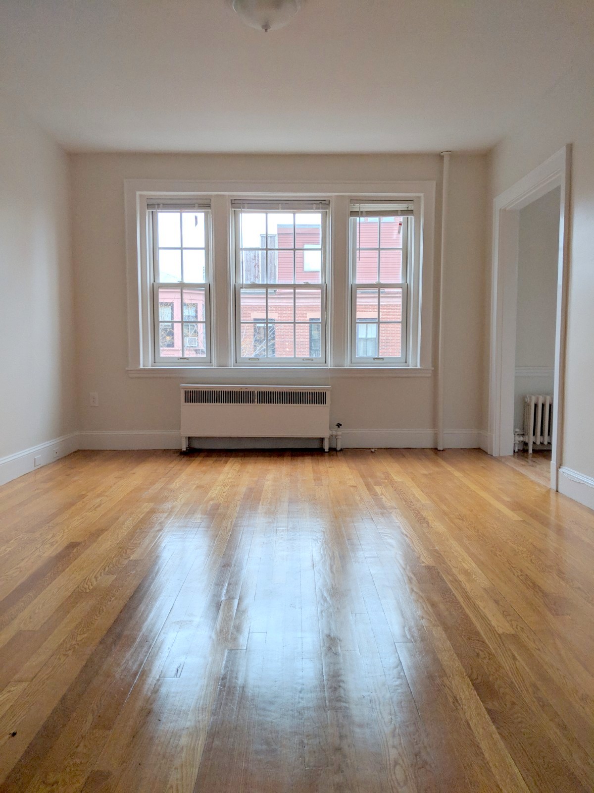 353 Harvard St, Harvard Square