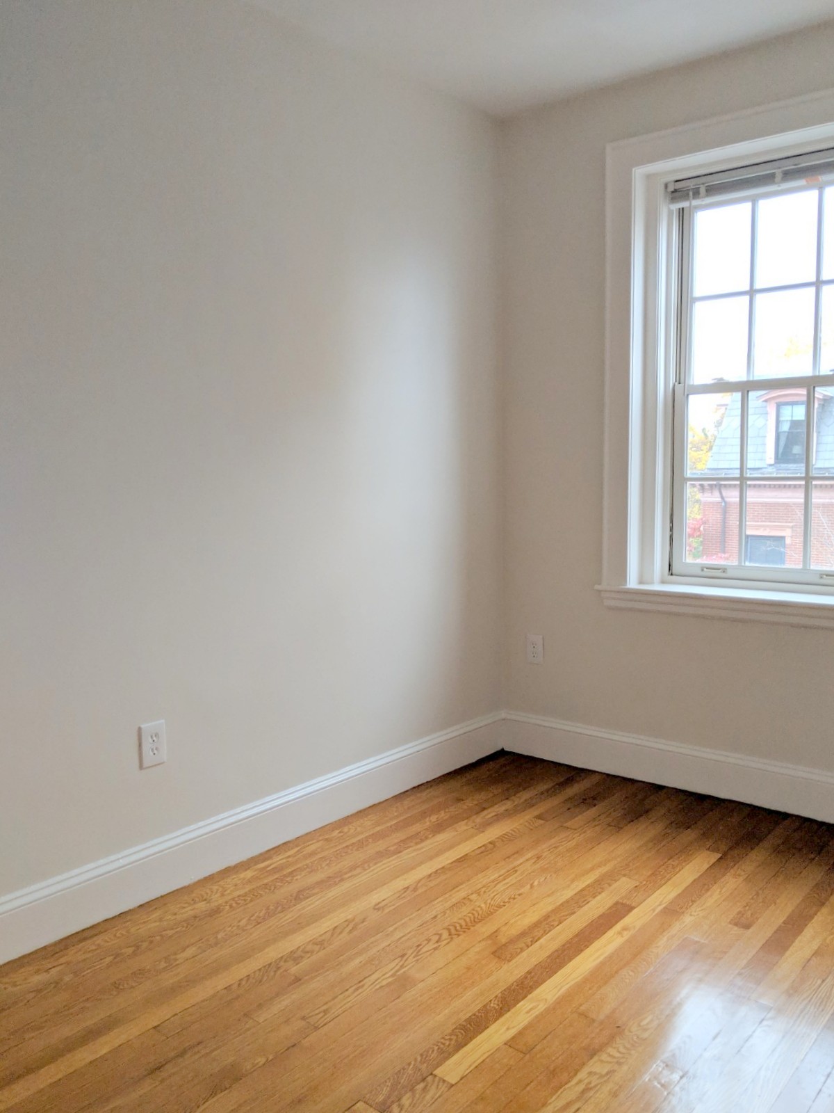 353 Harvard St, Harvard Square