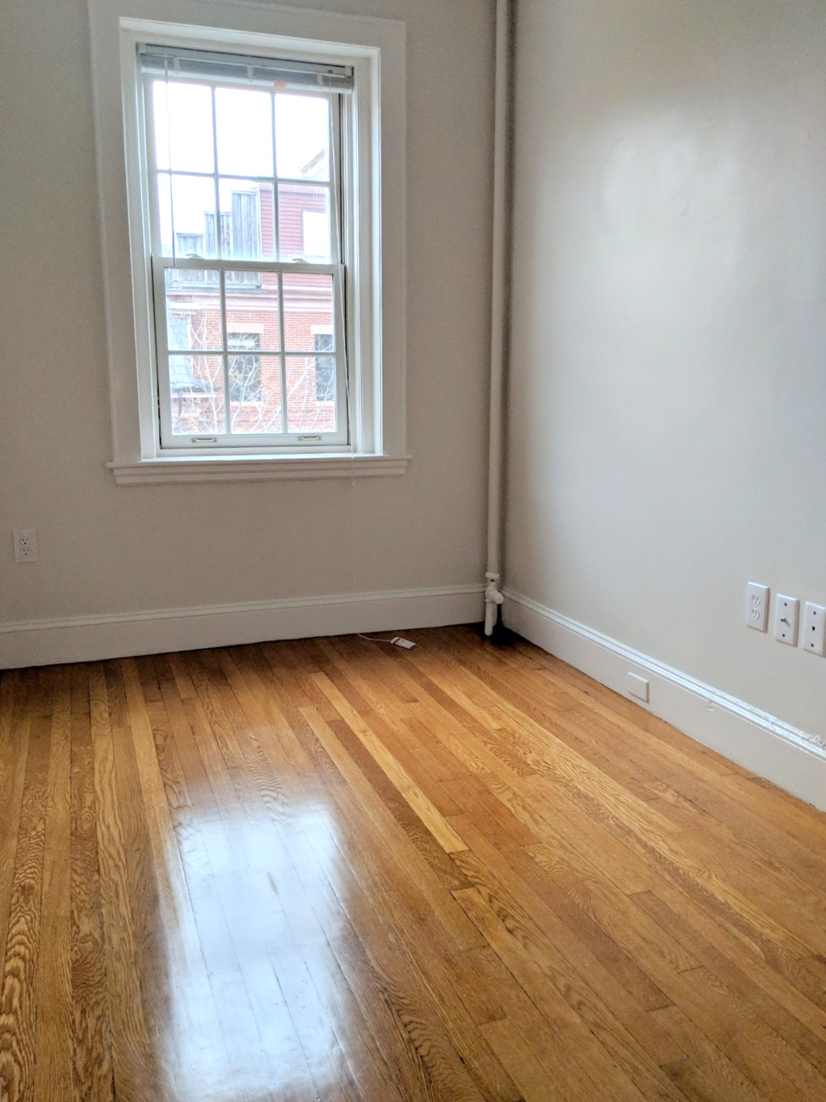 353 Harvard St, Harvard Square