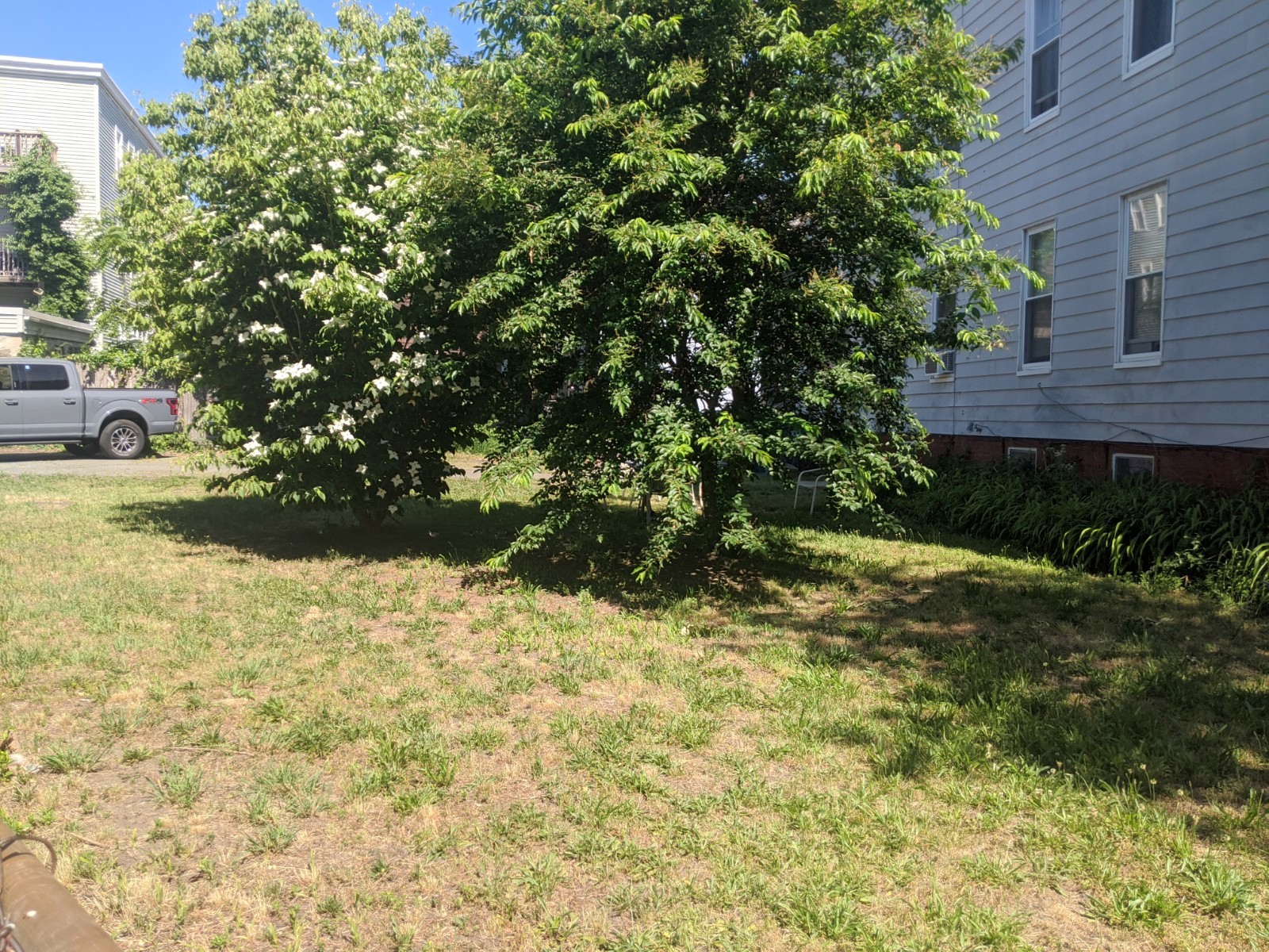 23 Thorndike St, Davis Square