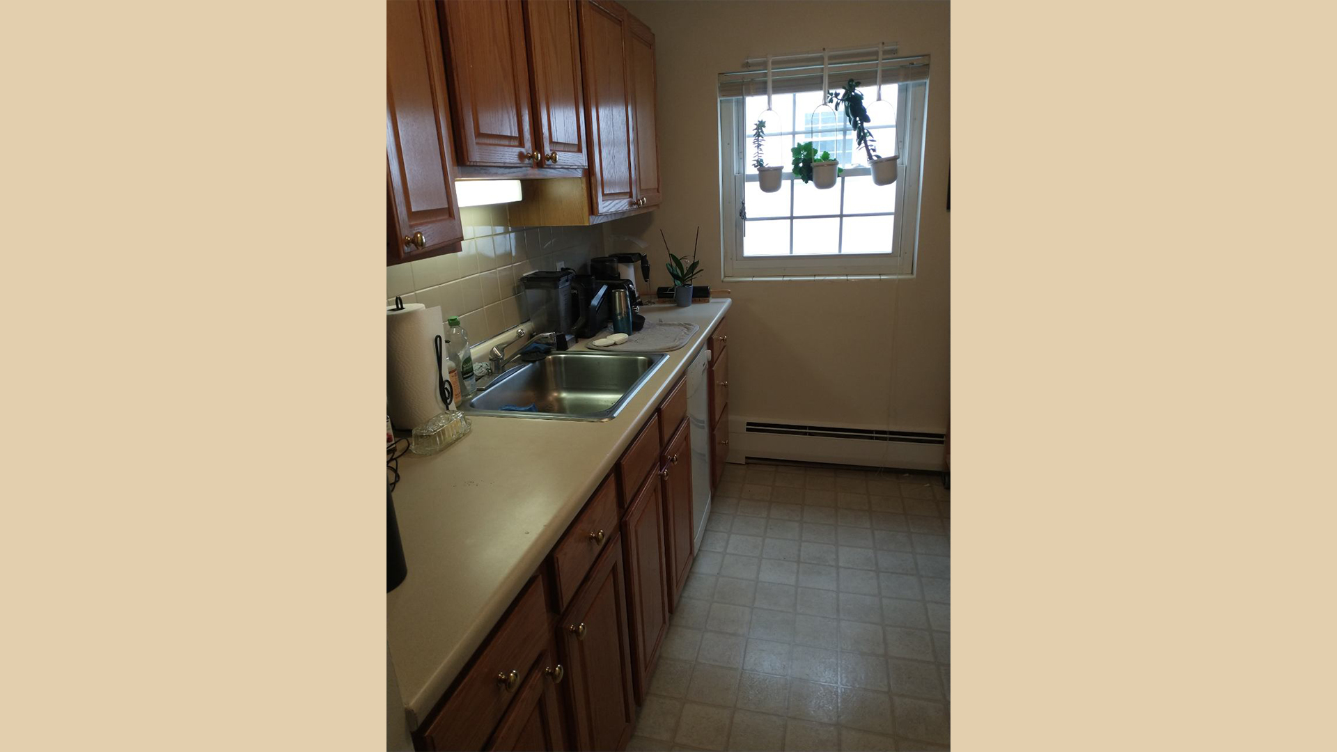 11 Brattle Dr, Arlington