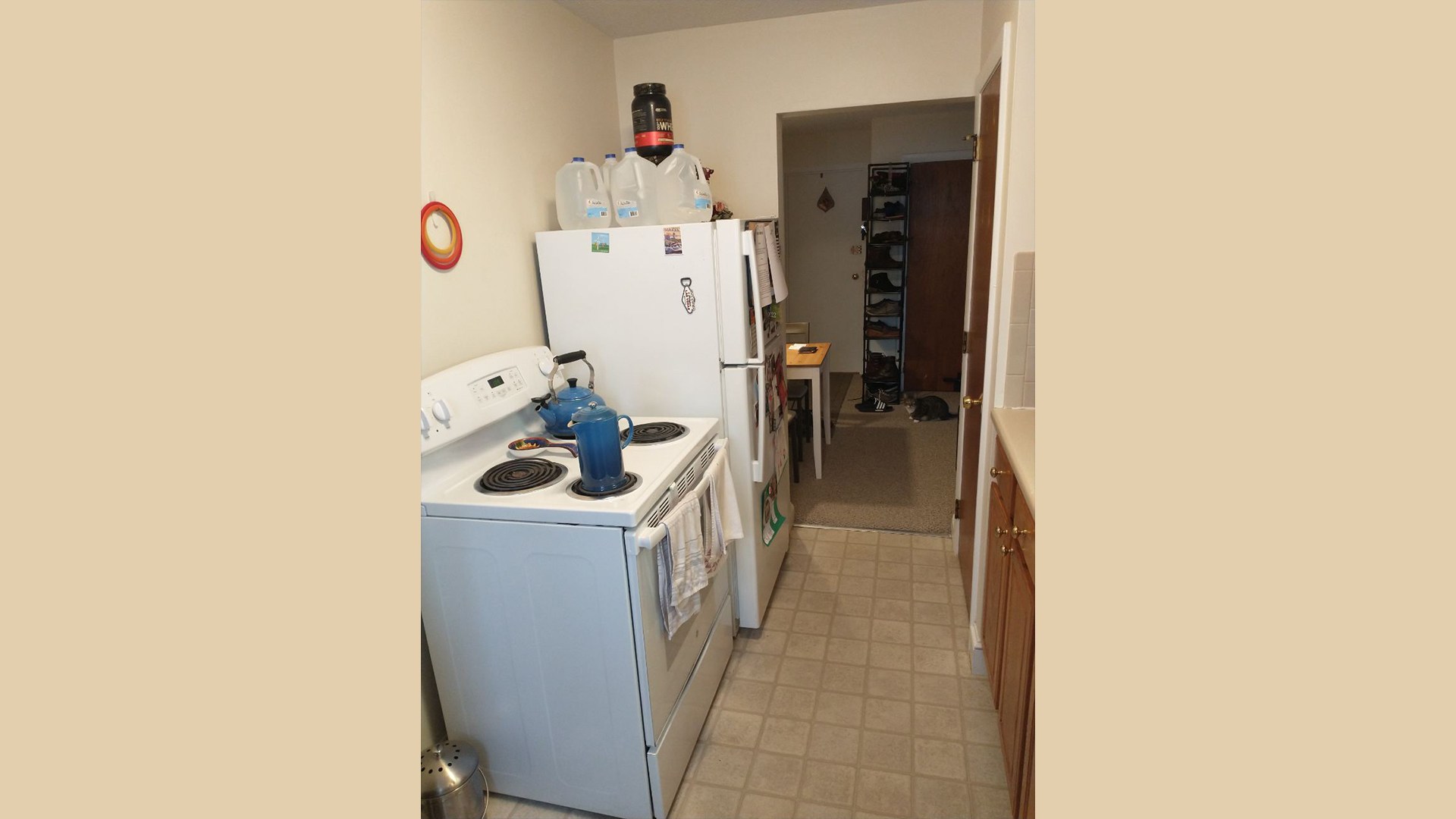 11 Brattle Dr, Arlington