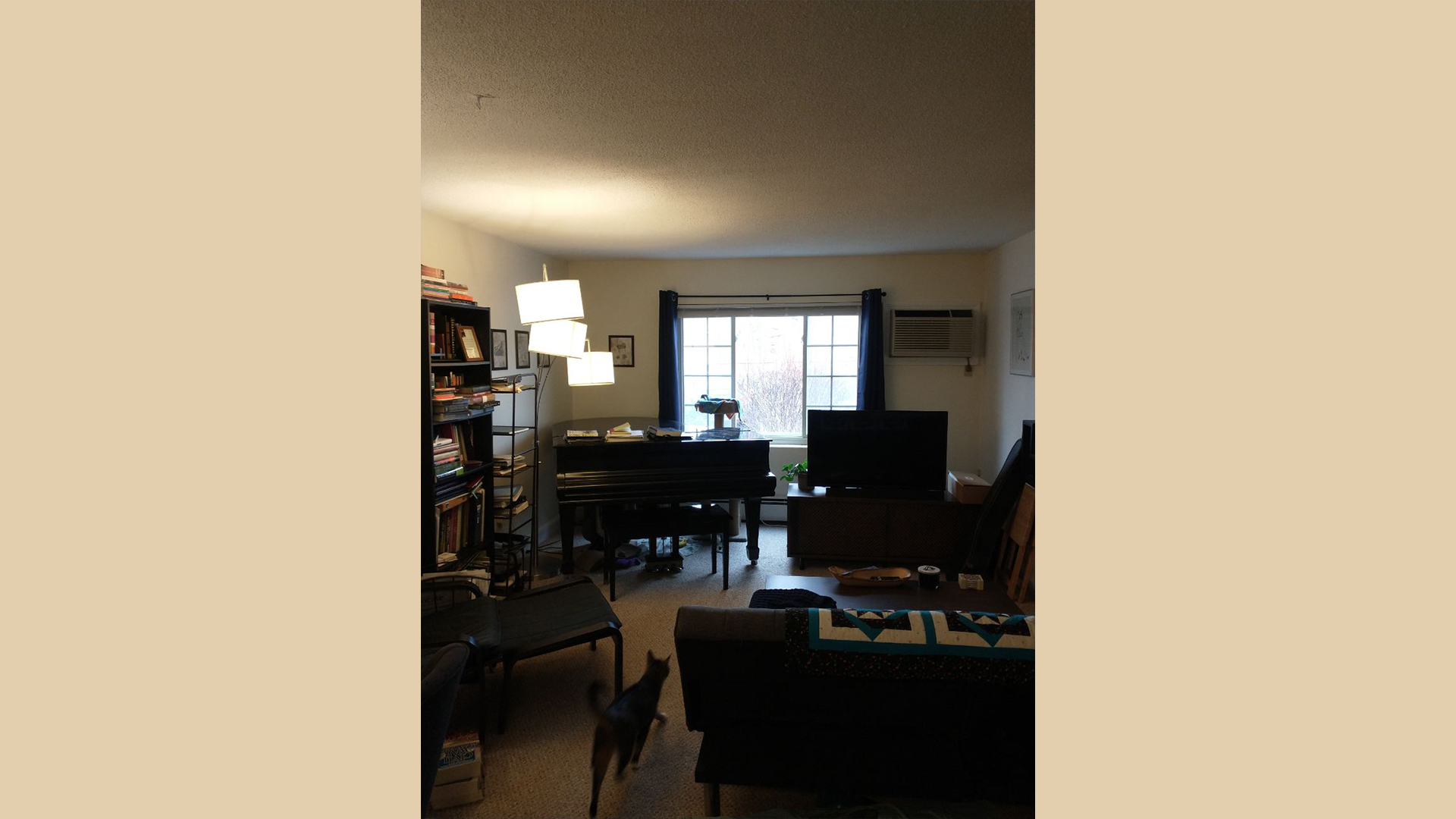 11 Brattle Dr, Arlington