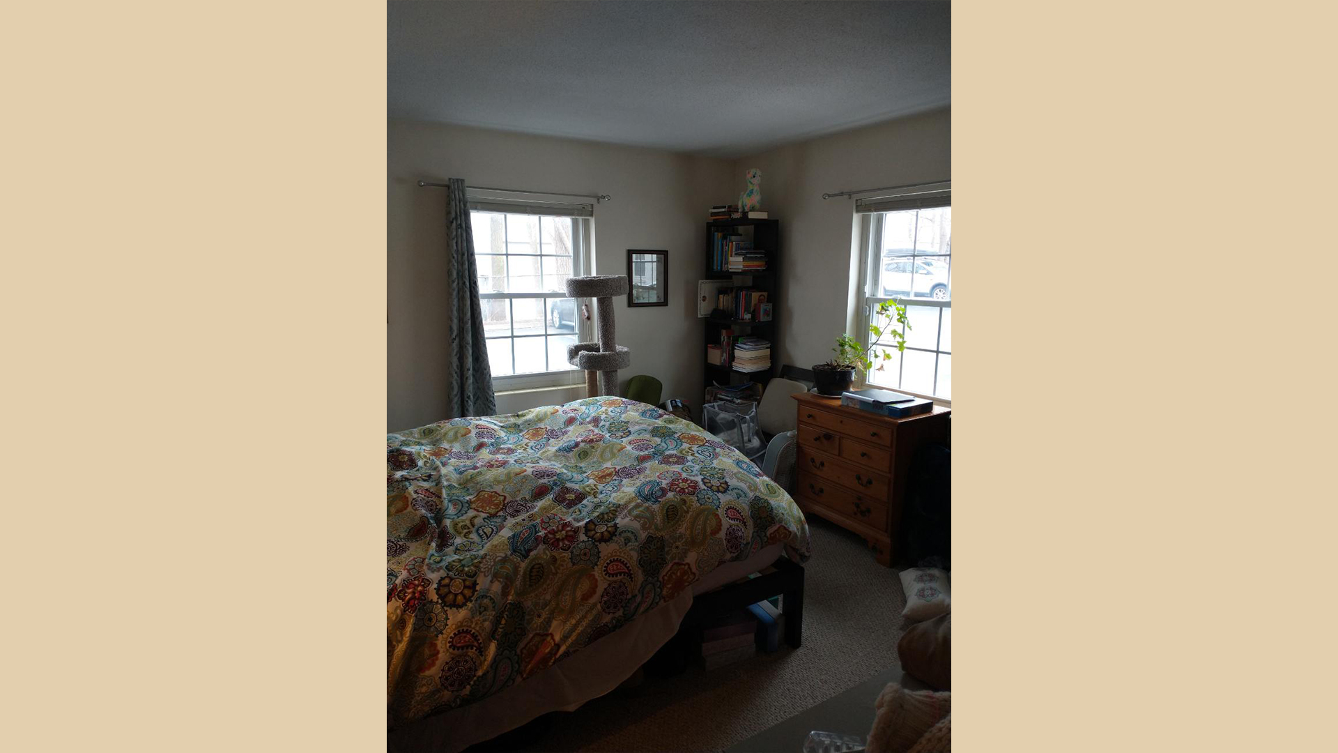 11 Brattle Dr, Arlington