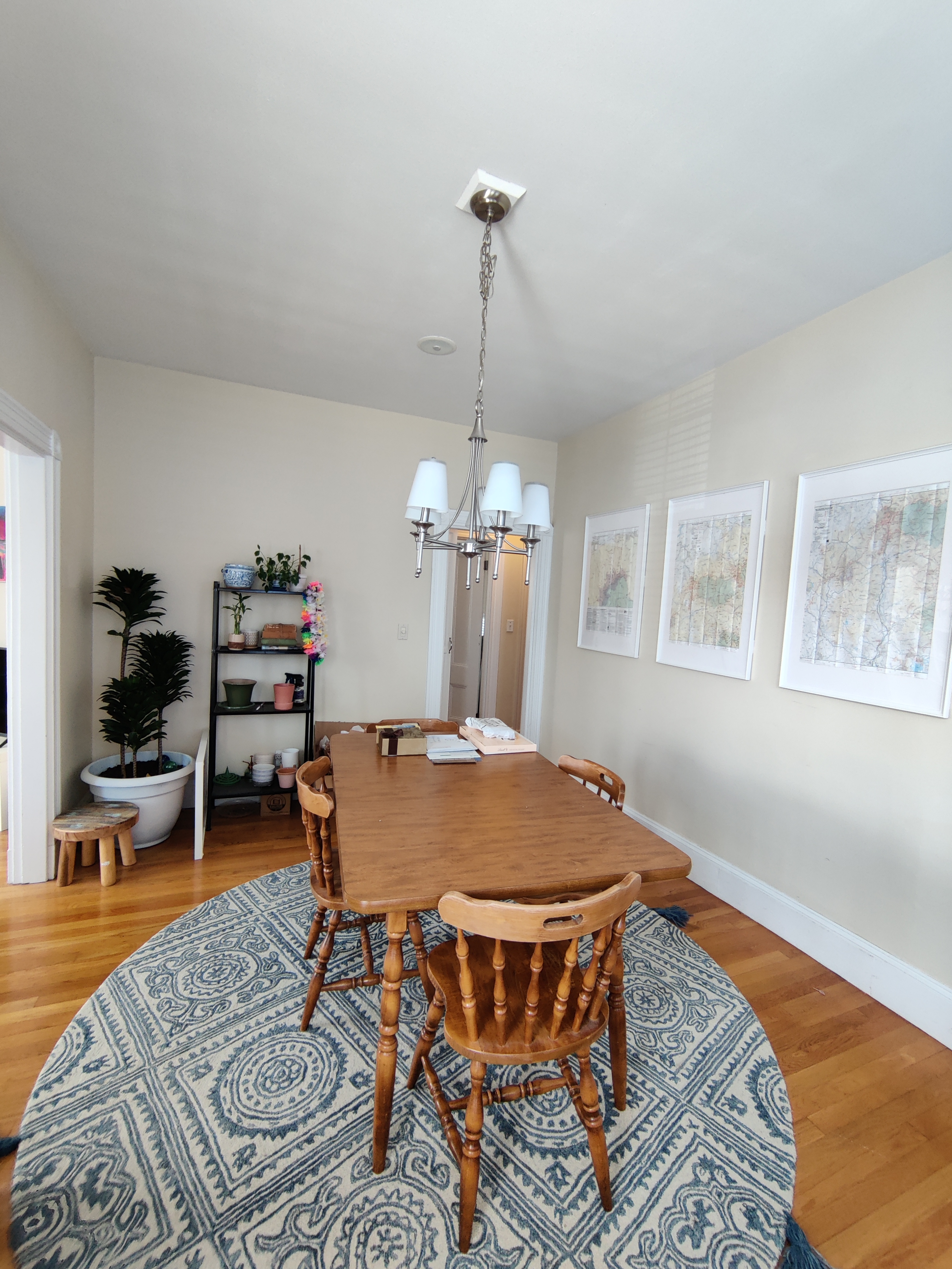 91 93 Surrey St, Brighton