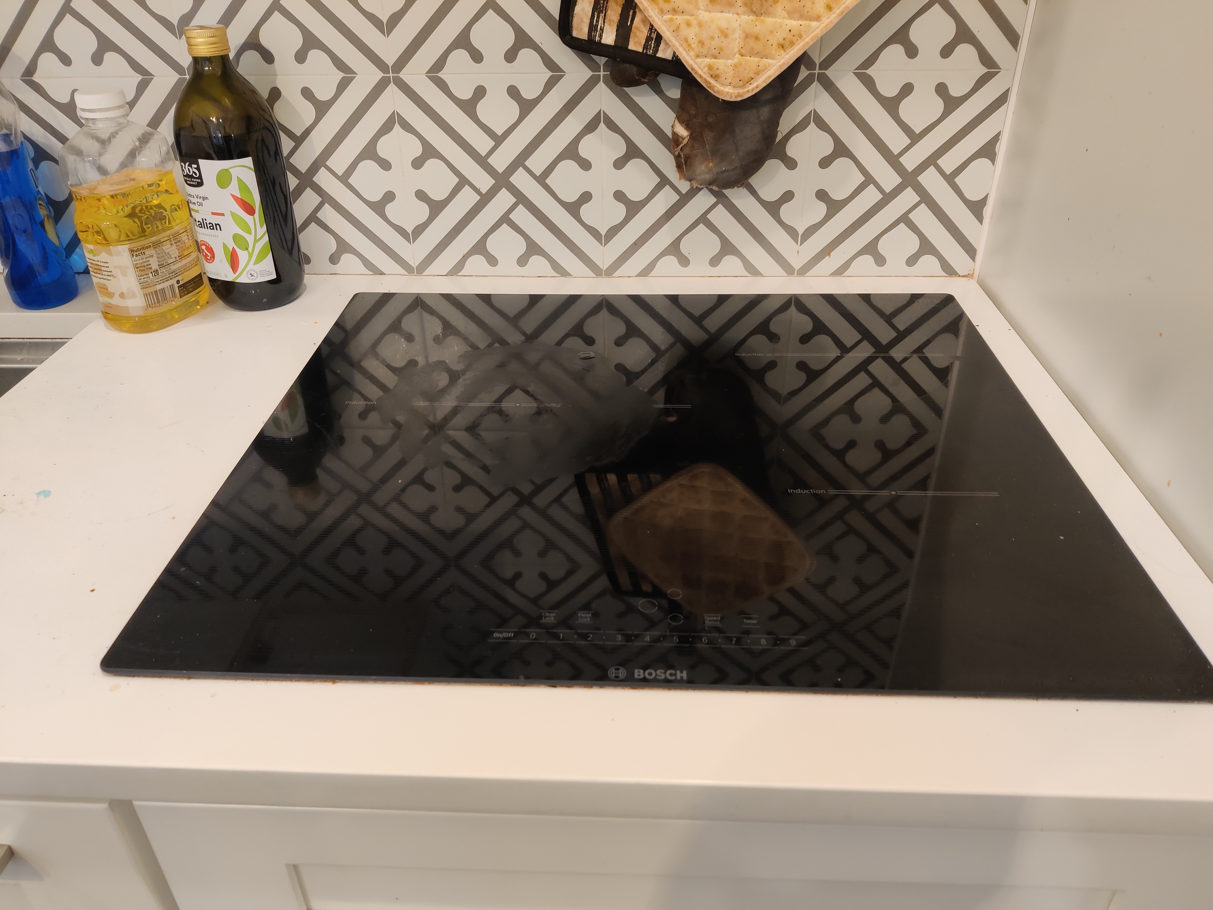 35 Highland Ave, Mid-Cambridge