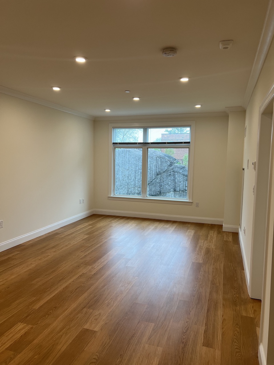 101 Asheville Rd, Chestnut Hill