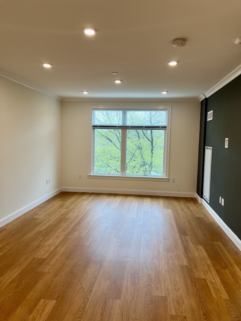 101 Asheville Rd, Chestnut Hill