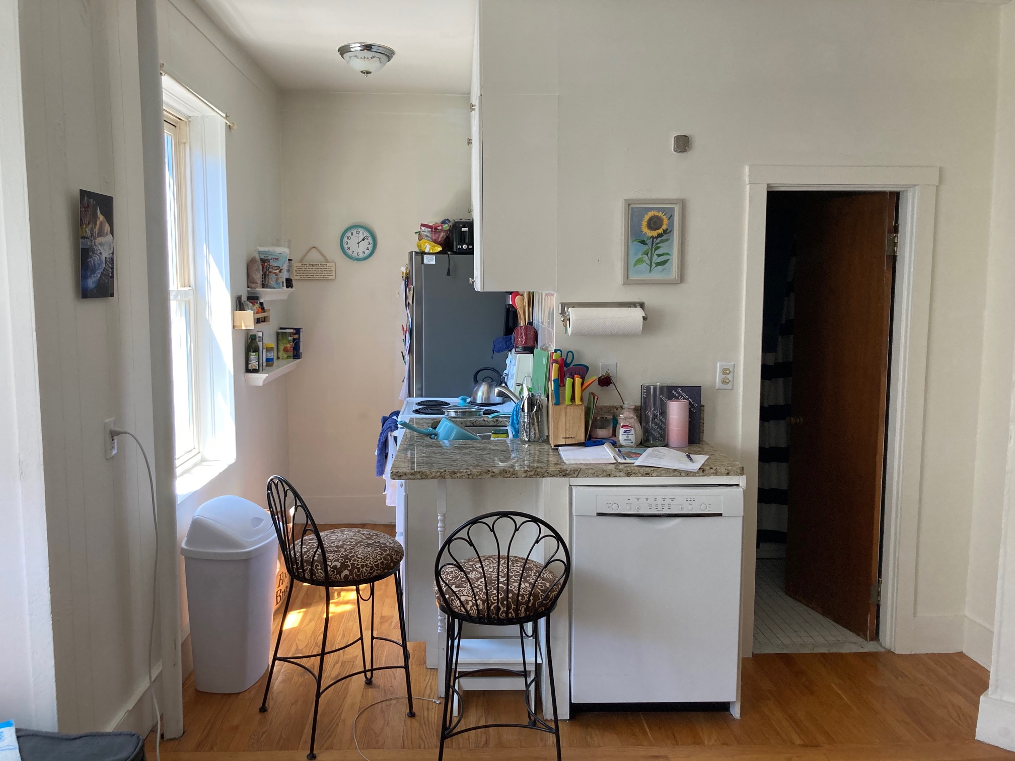 108 Myrtle St, Beacon Hill