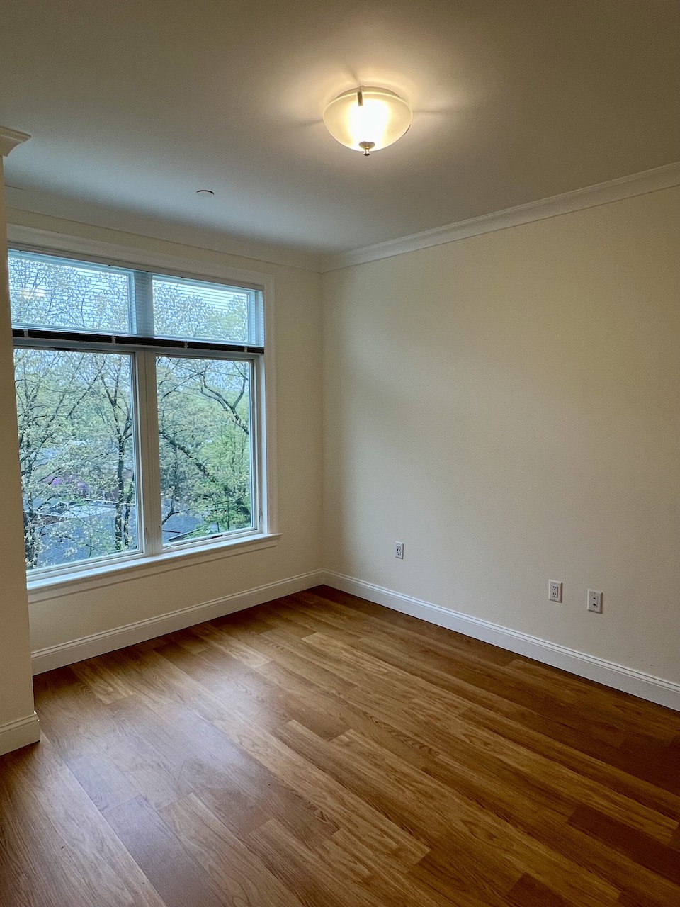 101 Asheville Rd, Chestnut Hill