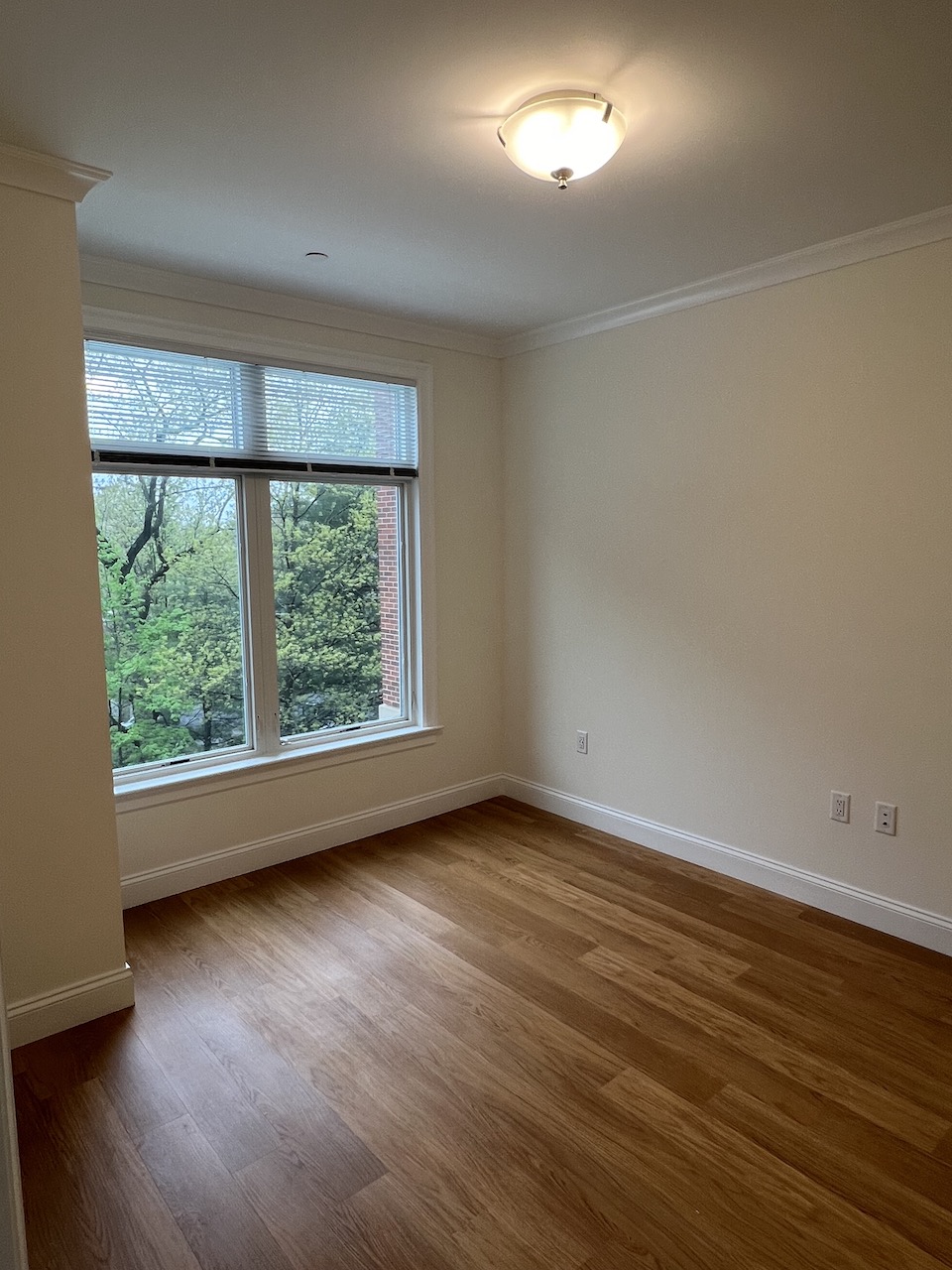 101 Asheville Rd, Chestnut Hill