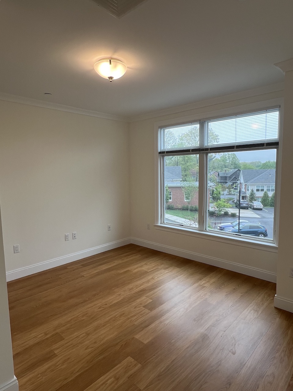 101 Asheville Rd, Chestnut Hill