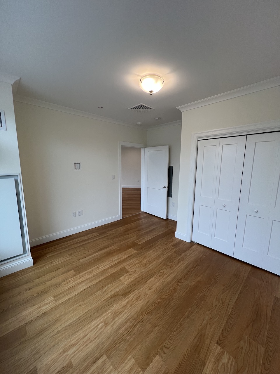 101 Asheville Rd, Chestnut Hill