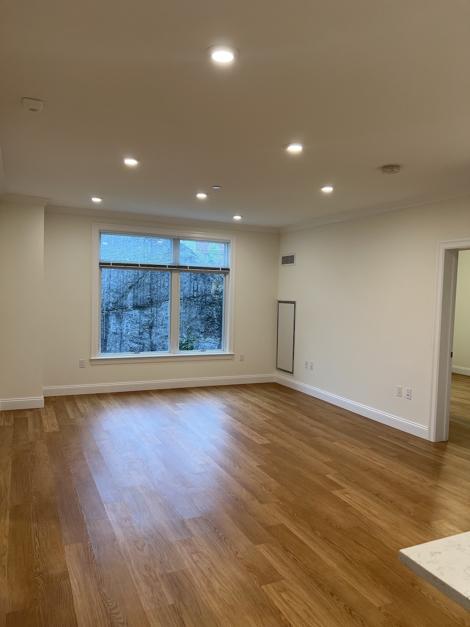 101 Asheville Rd, Chestnut Hill