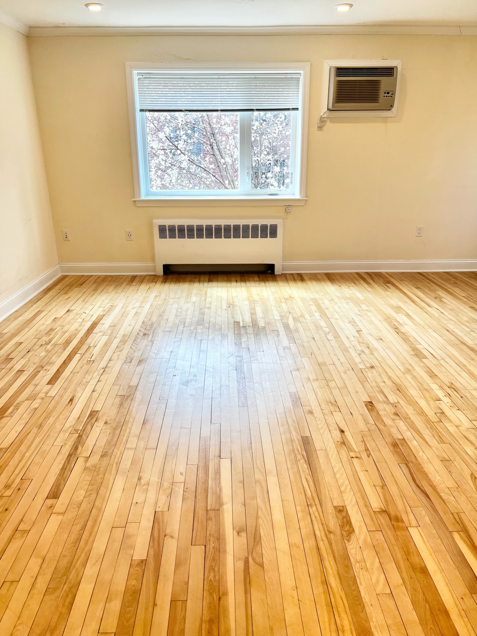 81 Saint Paul St, Coolidge Corner