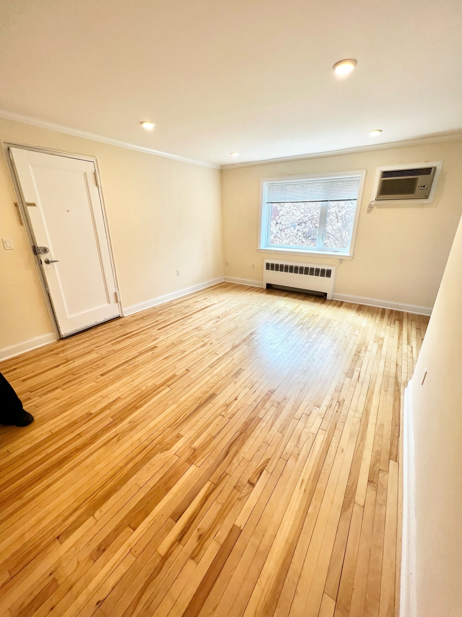 81 Saint Paul St, Coolidge Corner