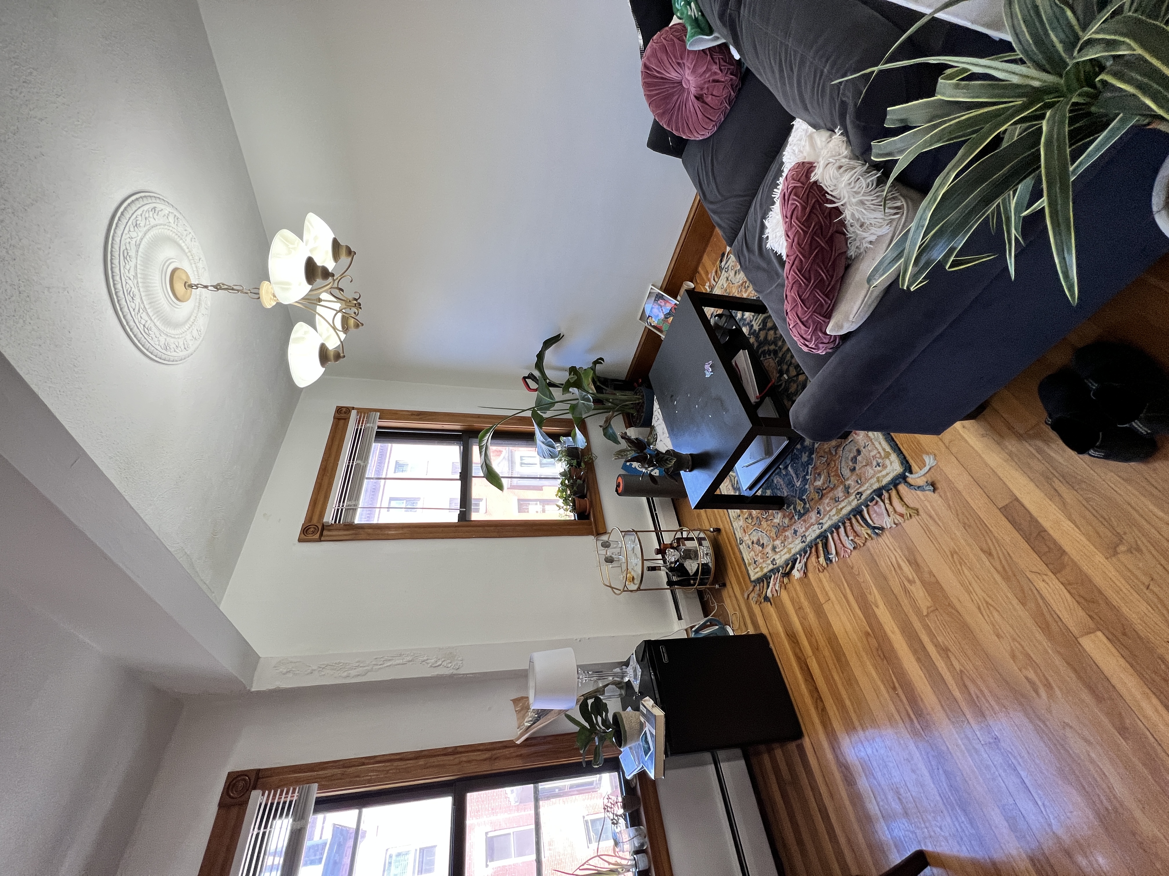 20 Hanson St, South End