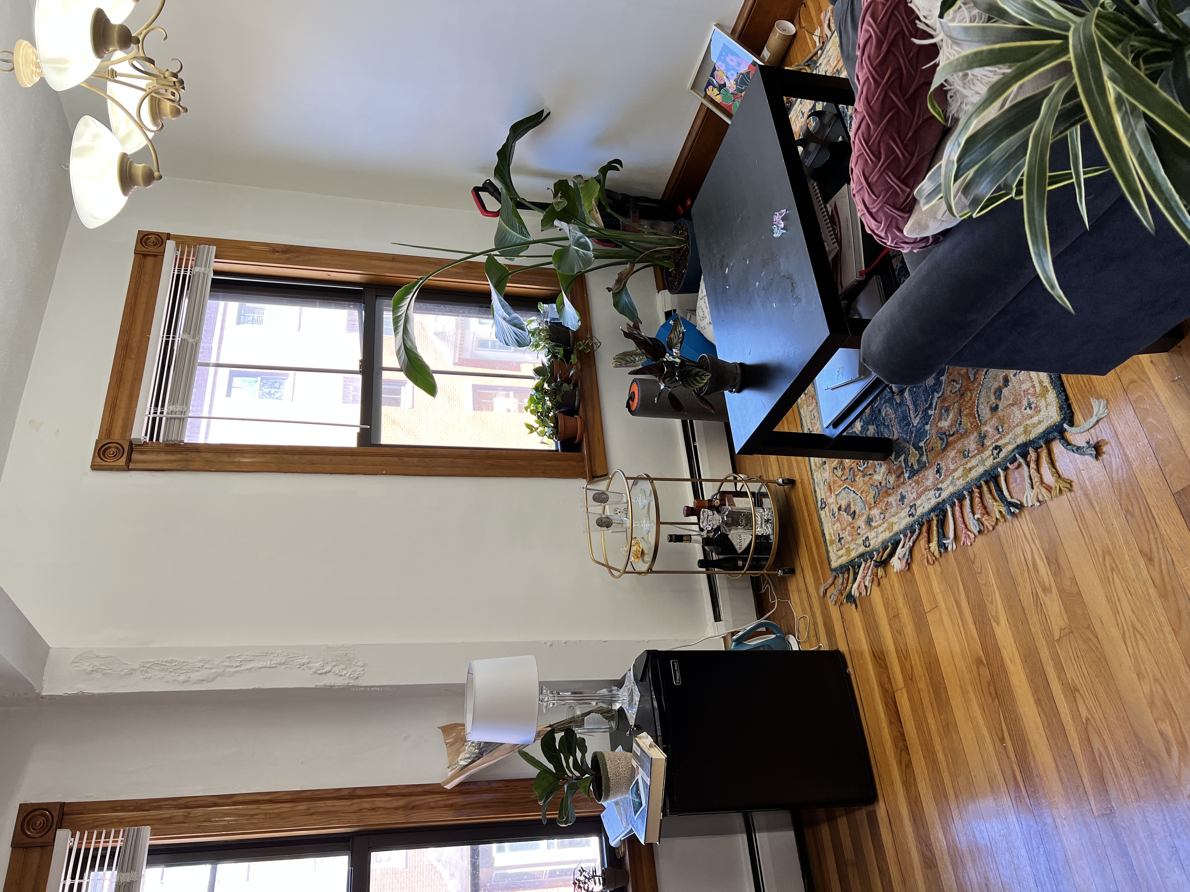 20 Hanson St, South End