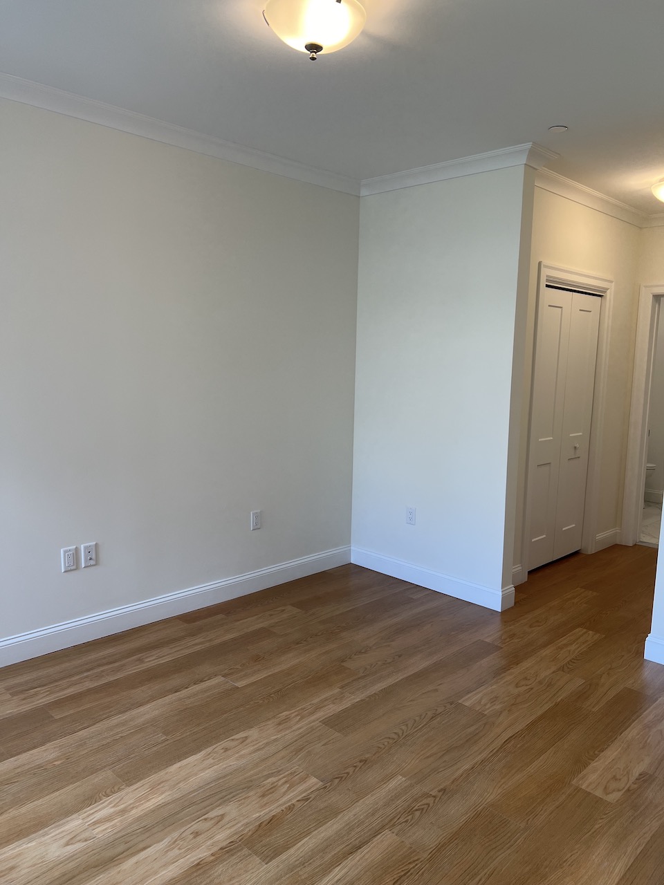 101 Asheville Rd, Chestnut Hill