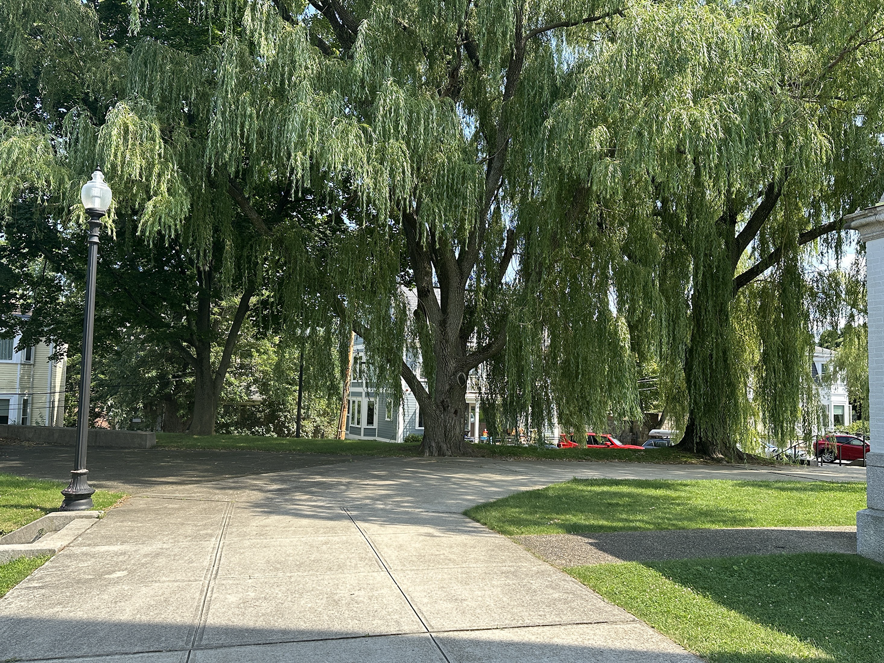 49 Fort Ave, Roxbury