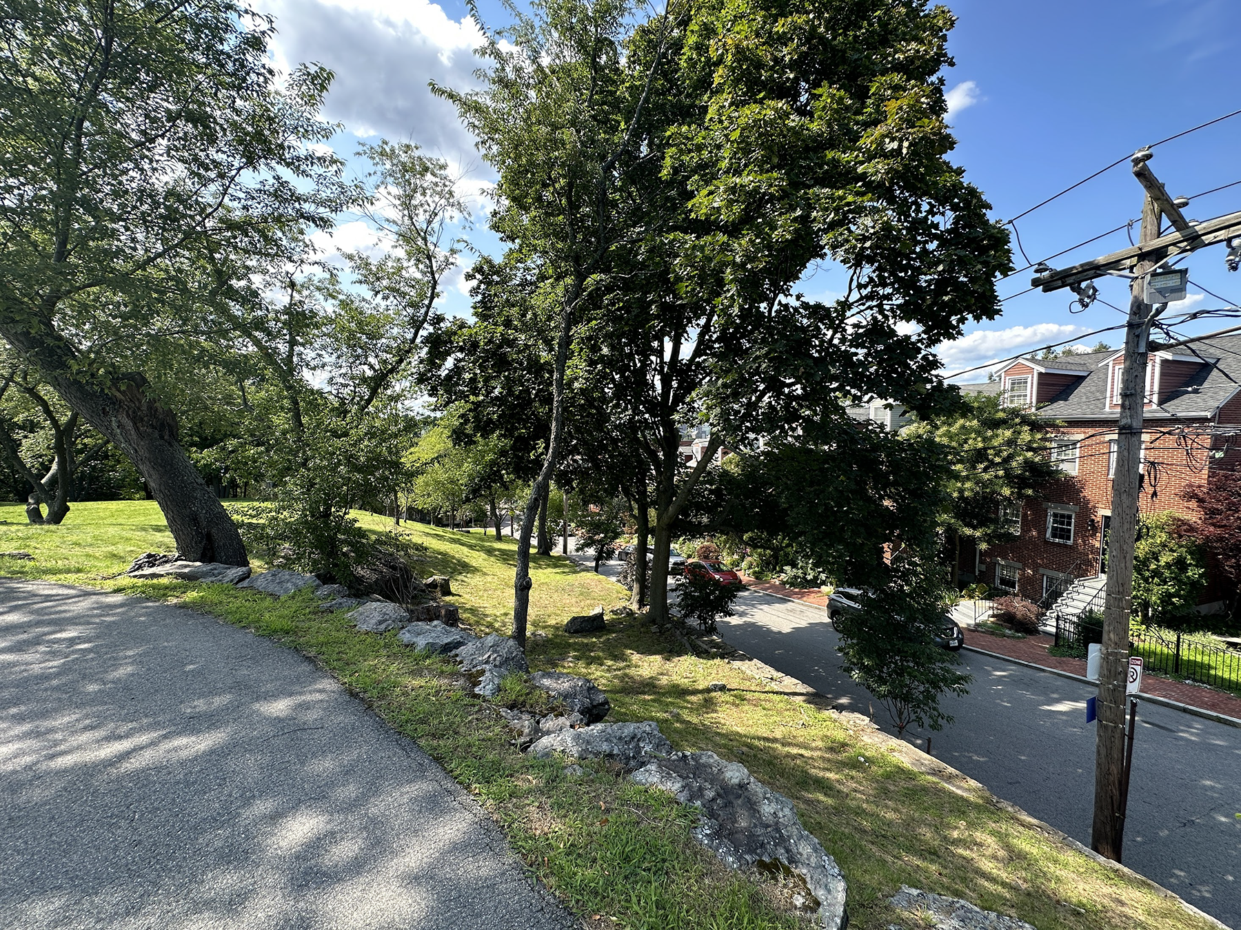 49 Fort Ave, Roxbury