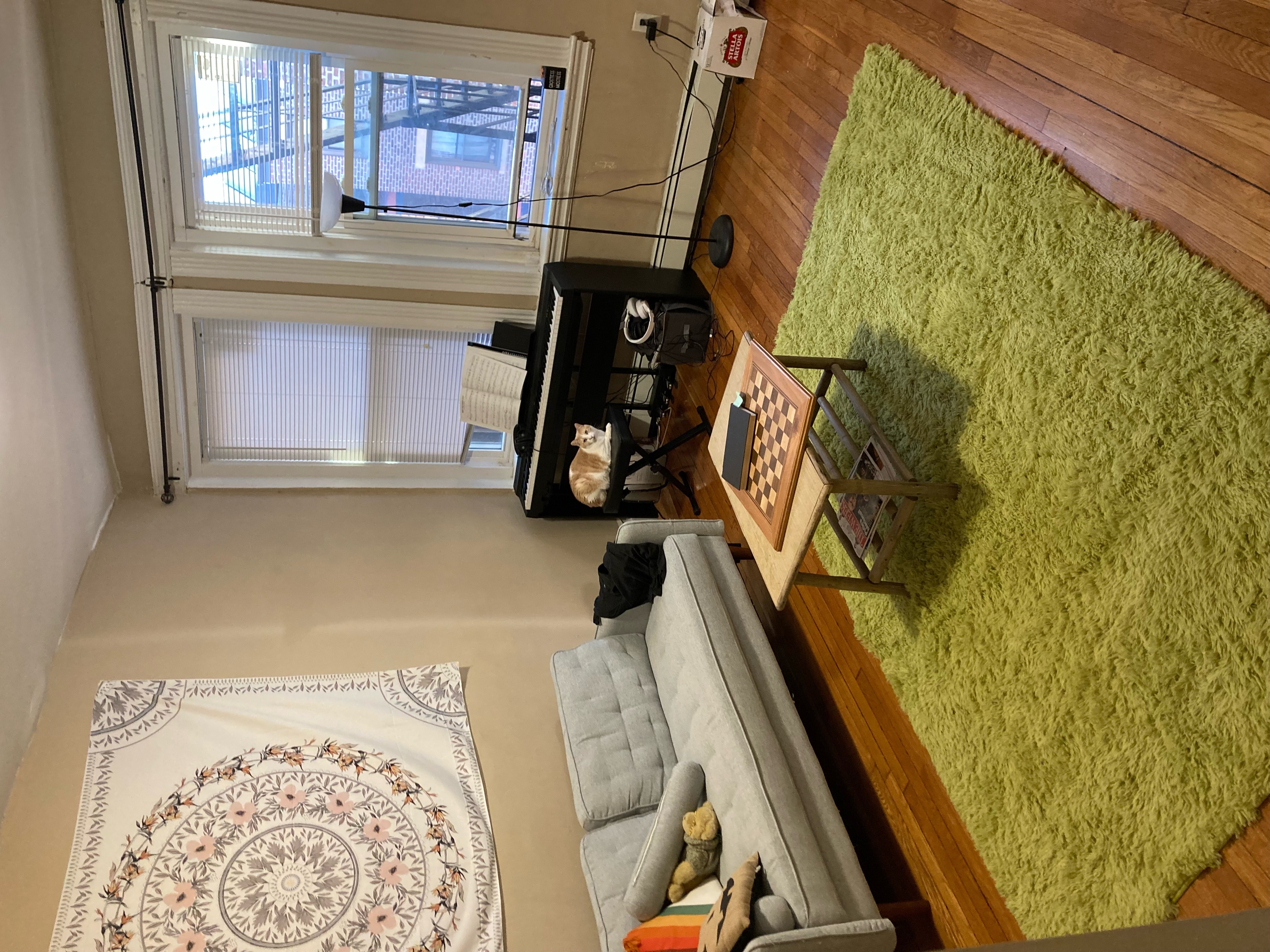 1325 Commonwealth Ave, Allston