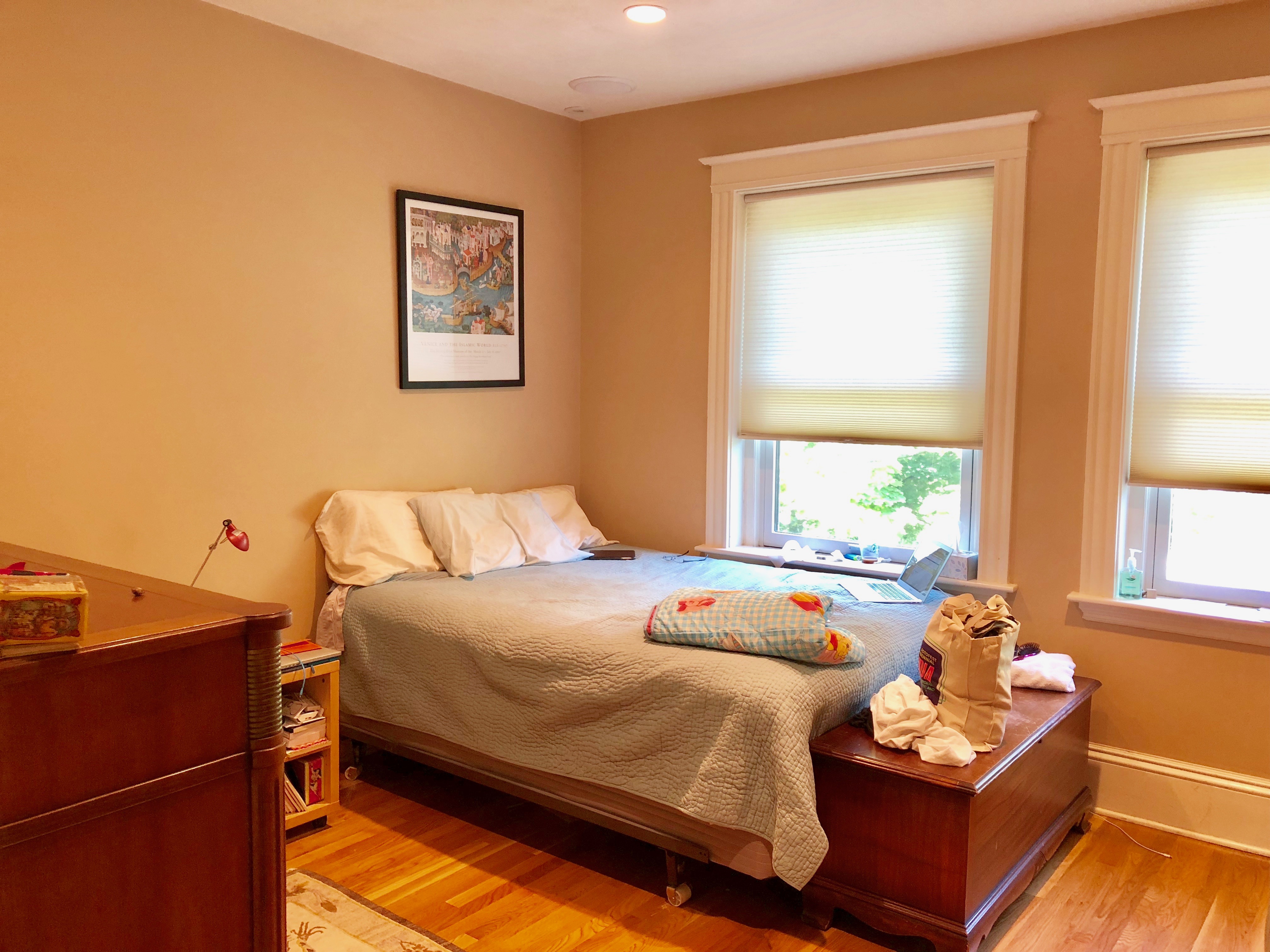 1 Clinton Path, Chestnut Hill