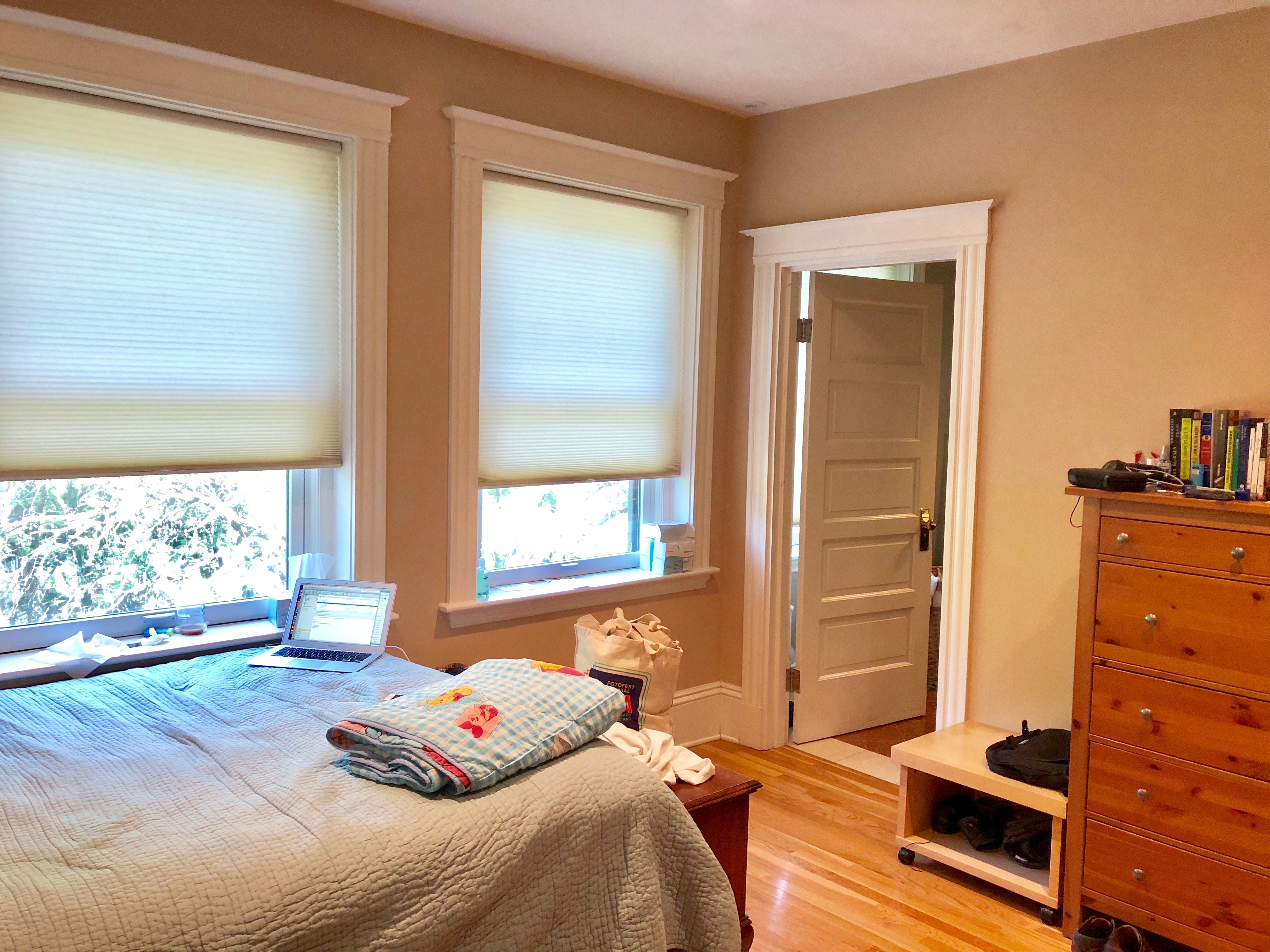 1 Clinton Path, Chestnut Hill