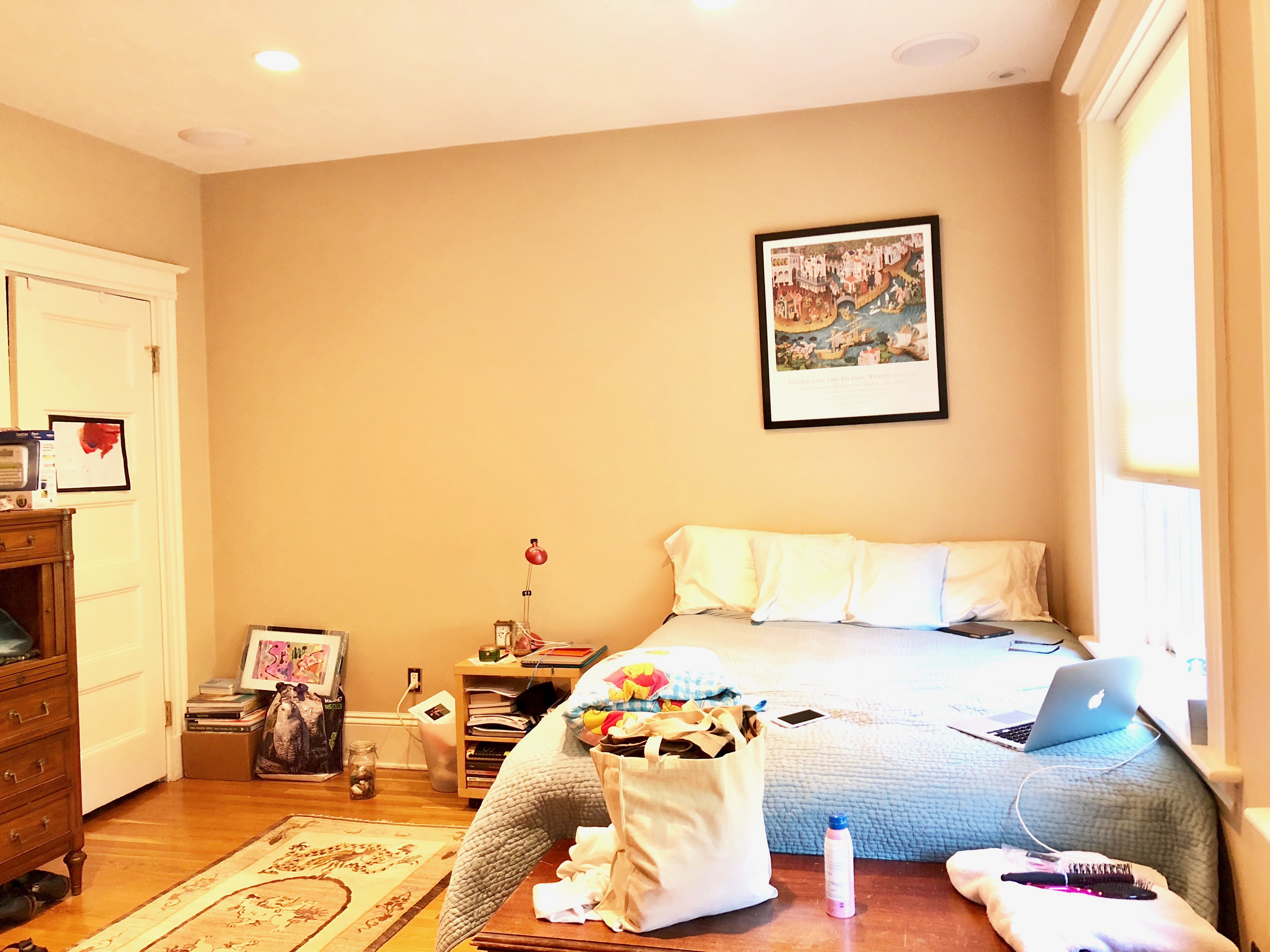 1 Clinton Path, Chestnut Hill