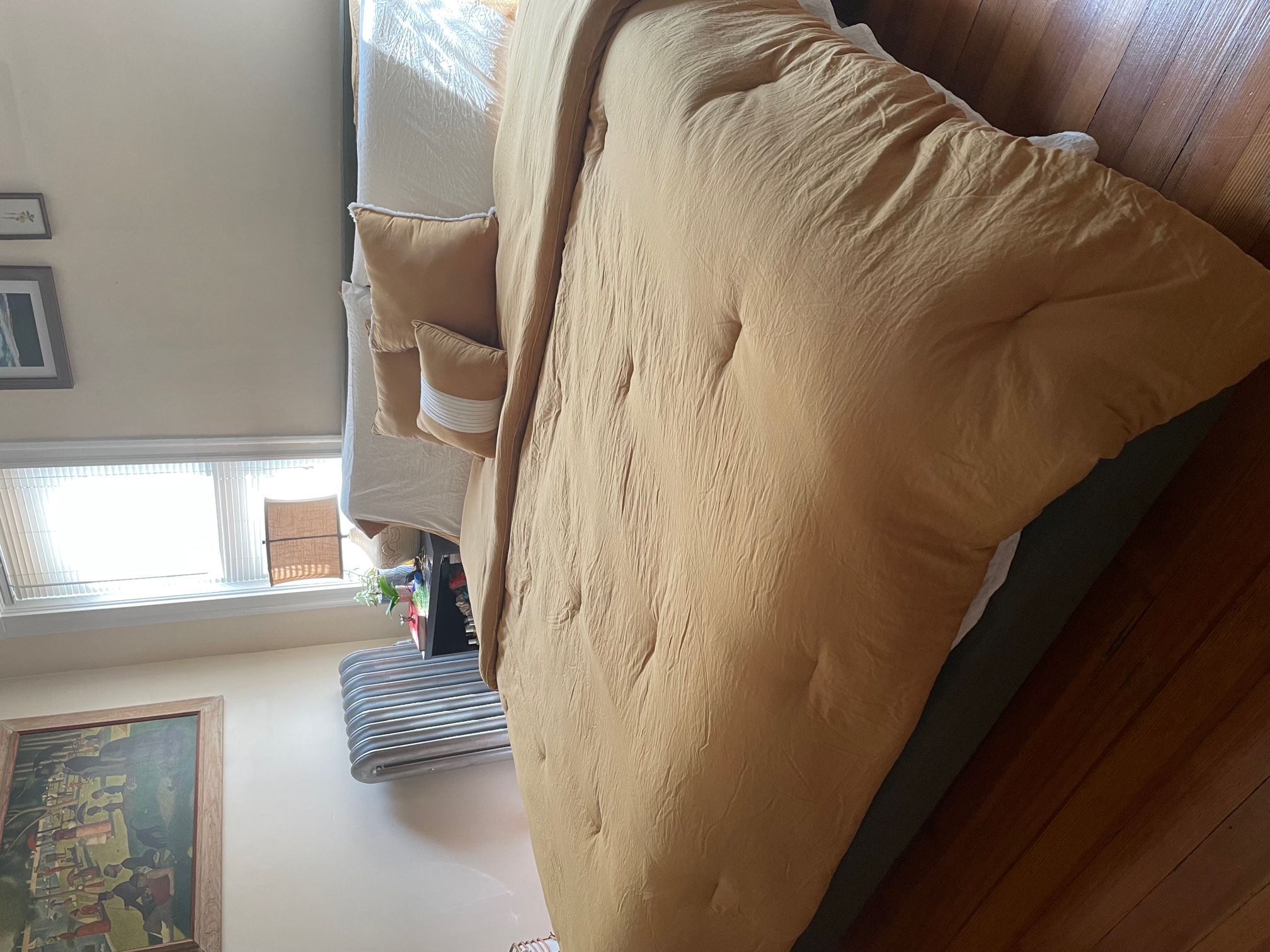 18 Fenwick St, Winter Hill