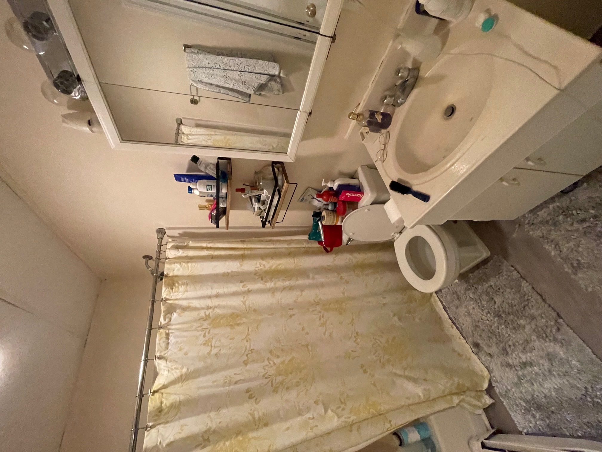 9 Banks St, Harvard Square