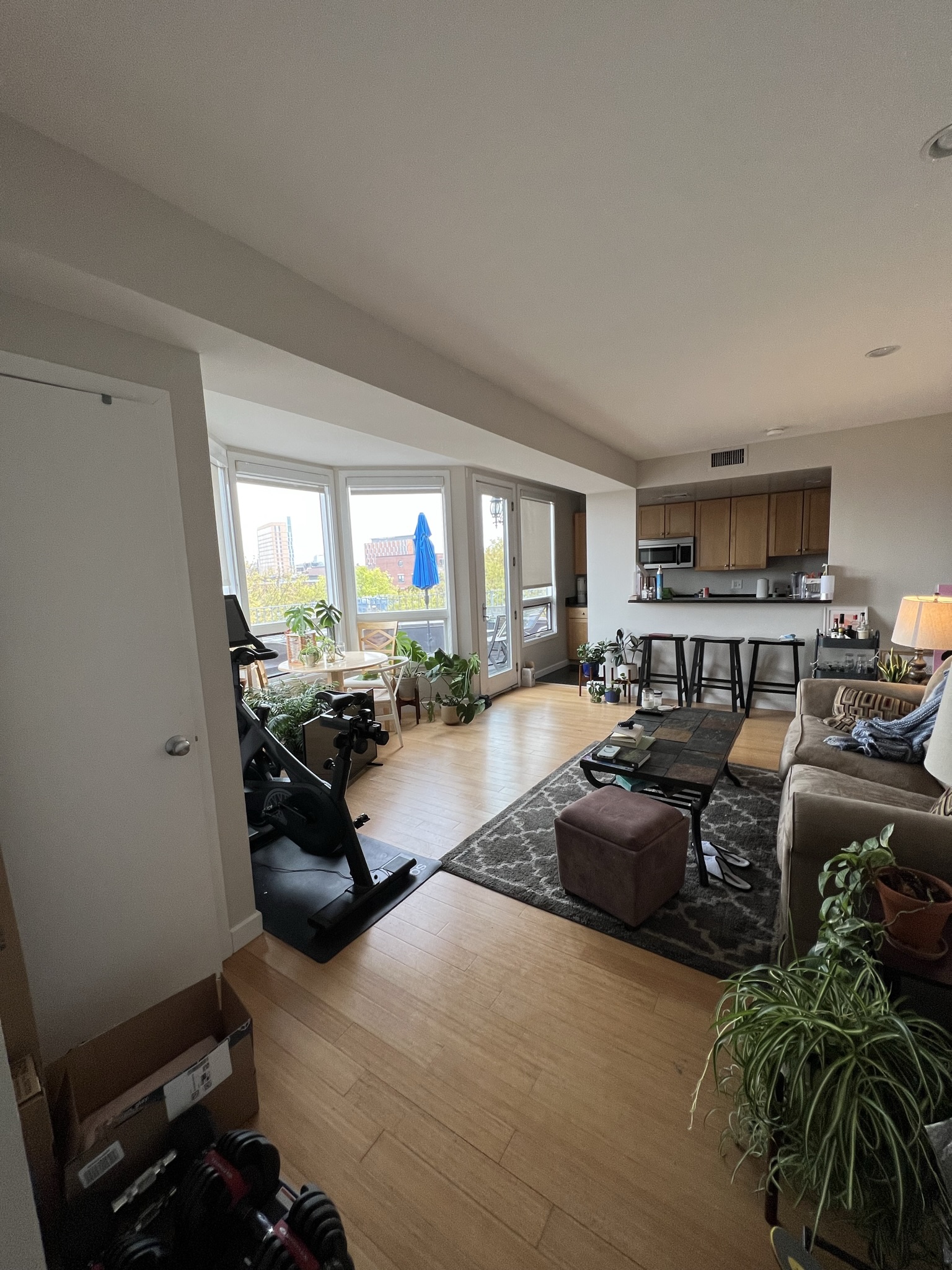 557 Columbus Ave, South End