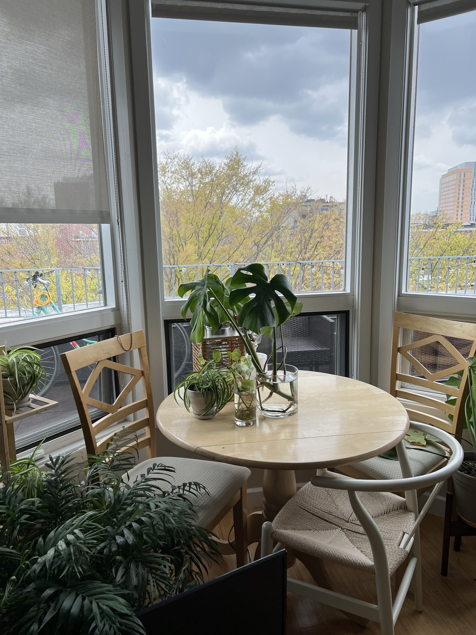 557 Columbus Ave, South End