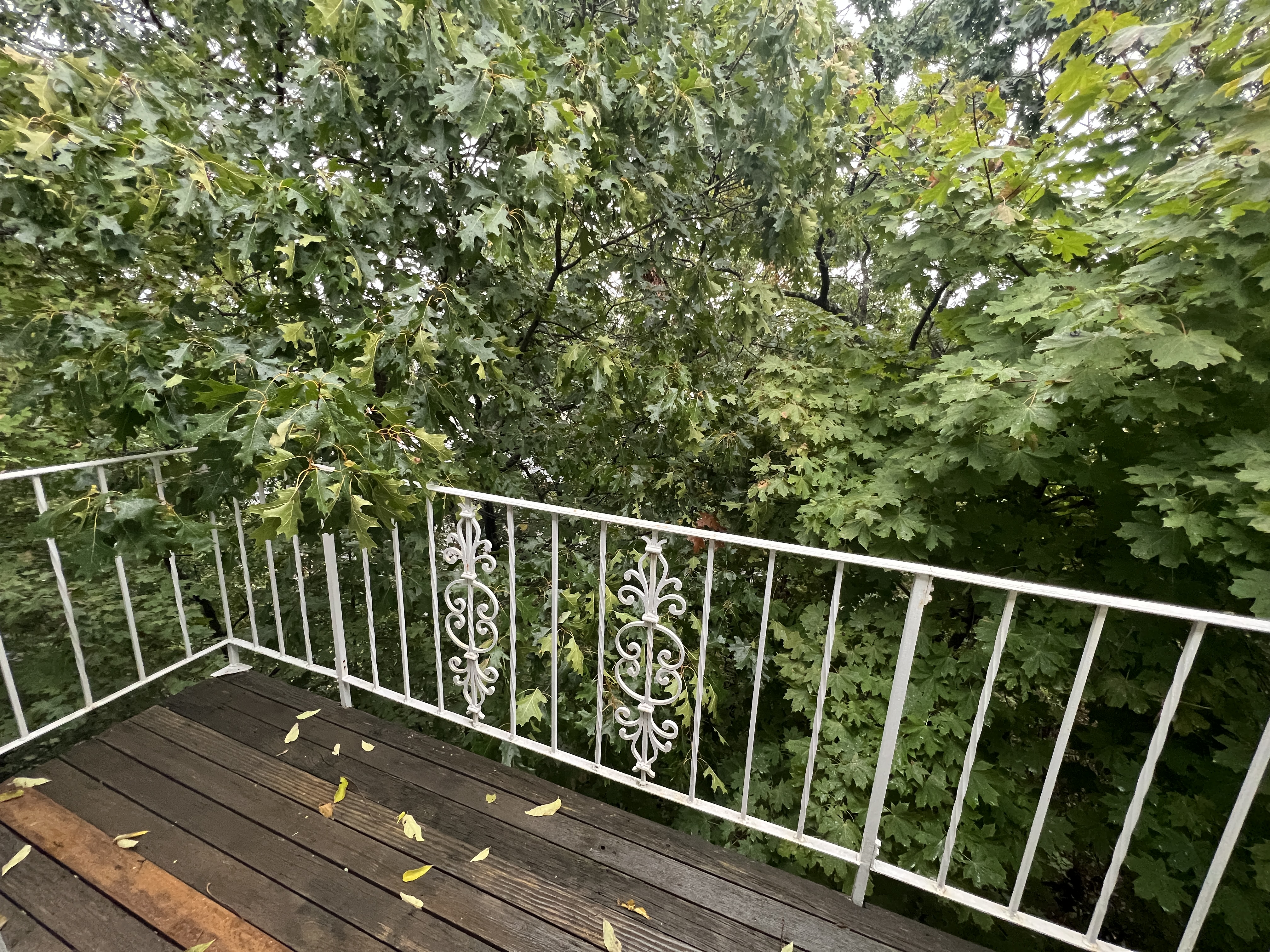 89 Nottinghill Rd, Brighton