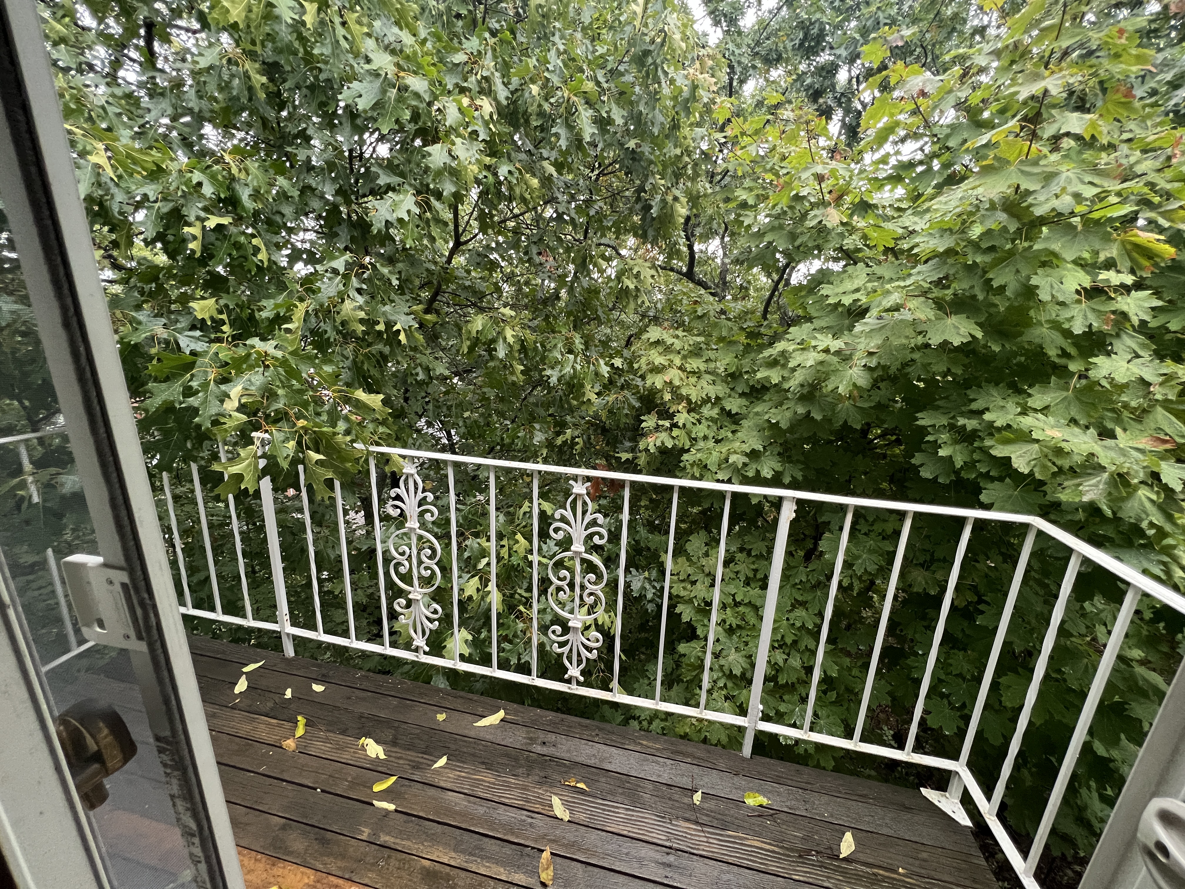 89 Nottinghill Rd, Brighton