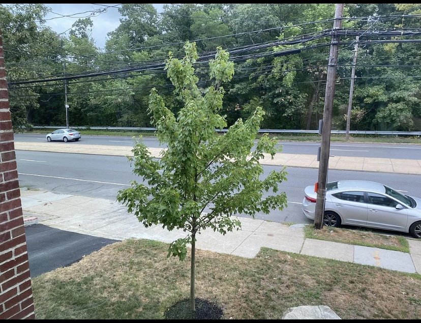 4833 Washington St, West Roxbury