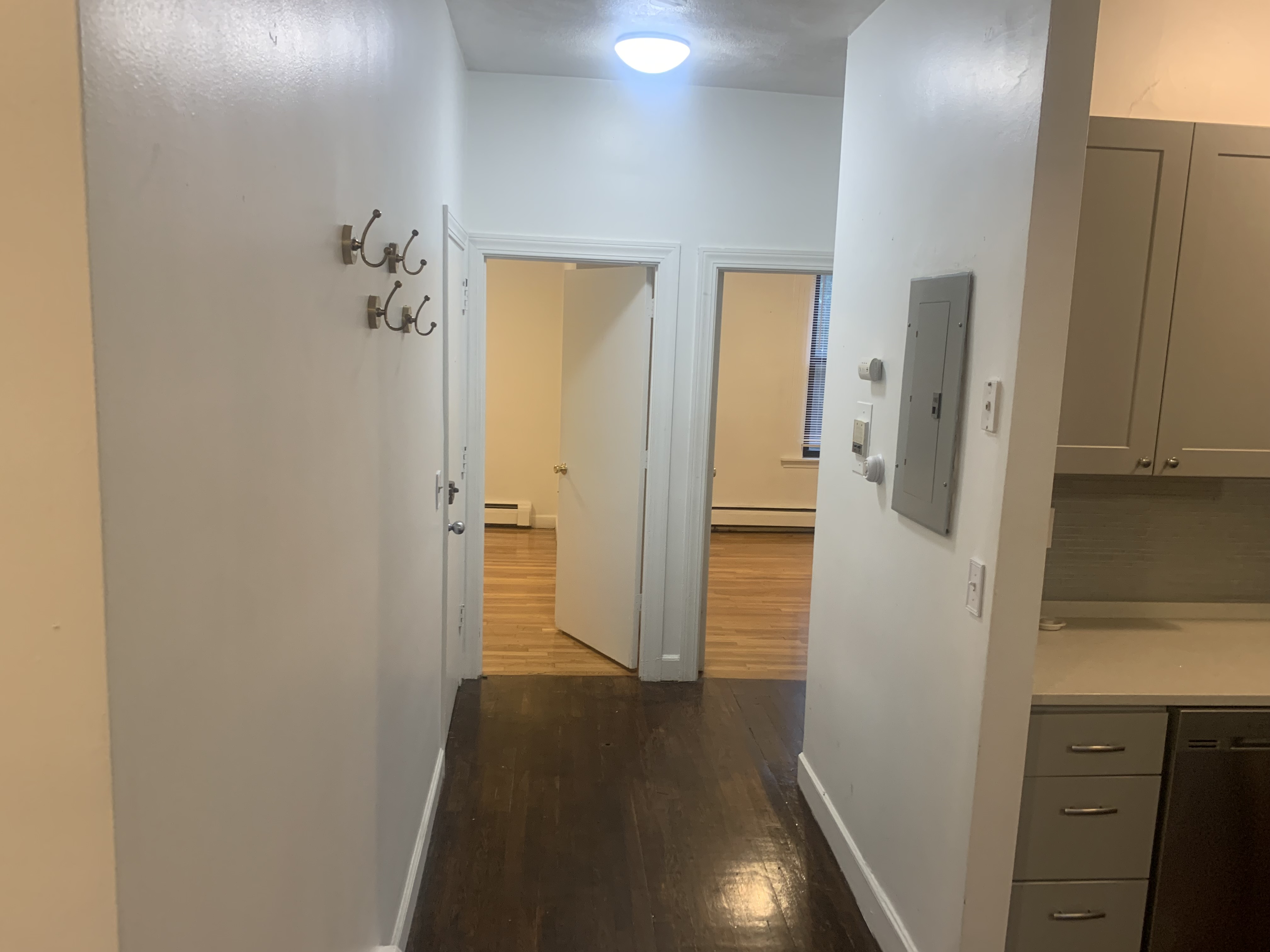 41 Springfield St, South End