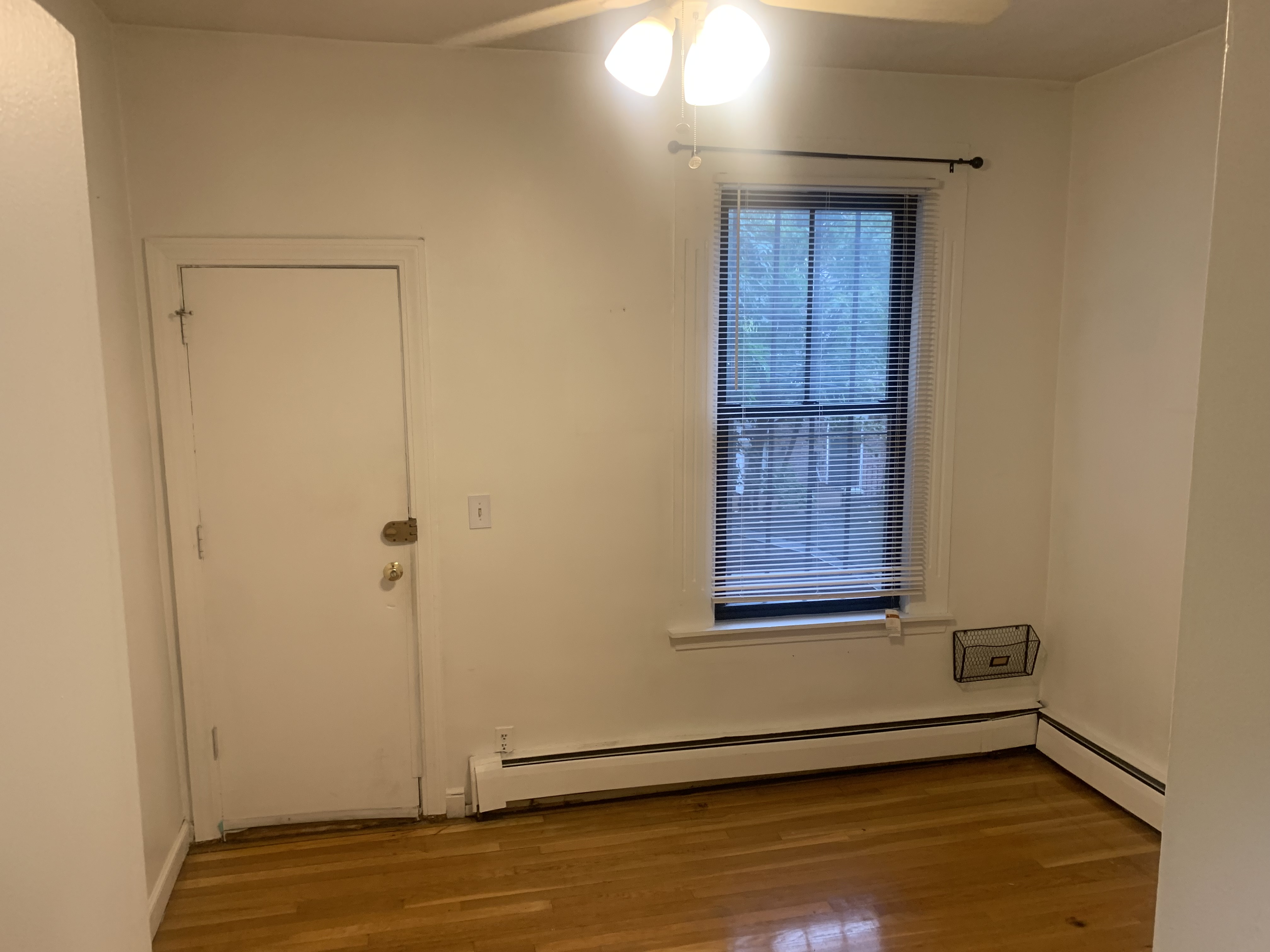 41 Springfield St, South End