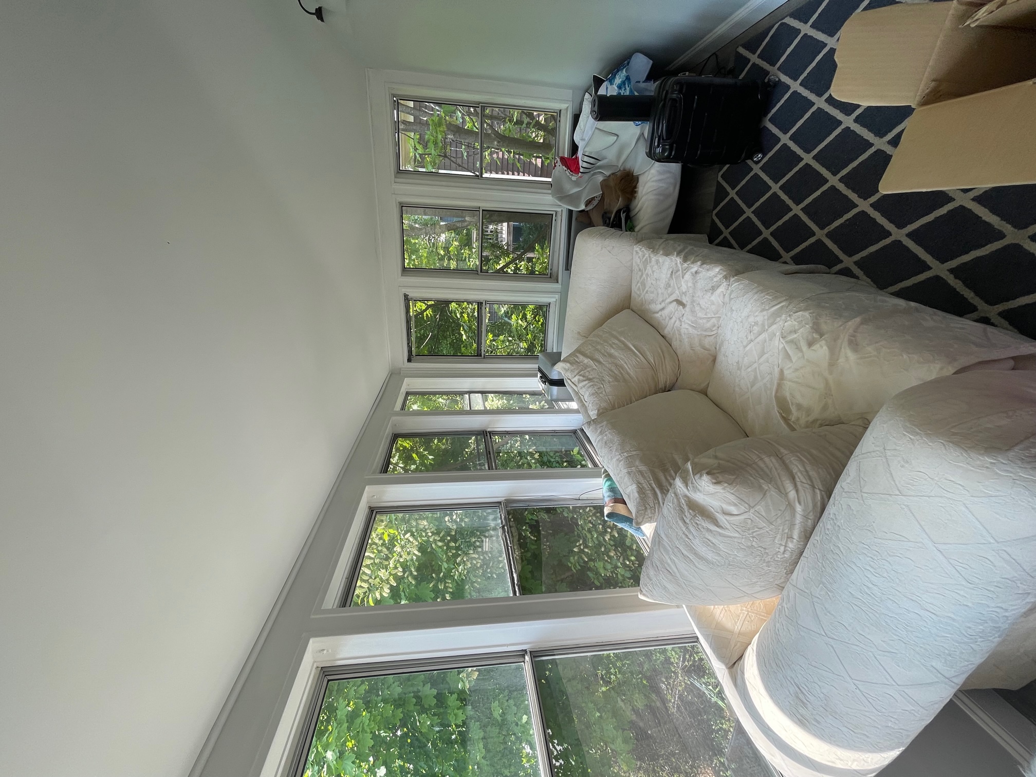 43 Hall Ave, Davis Square