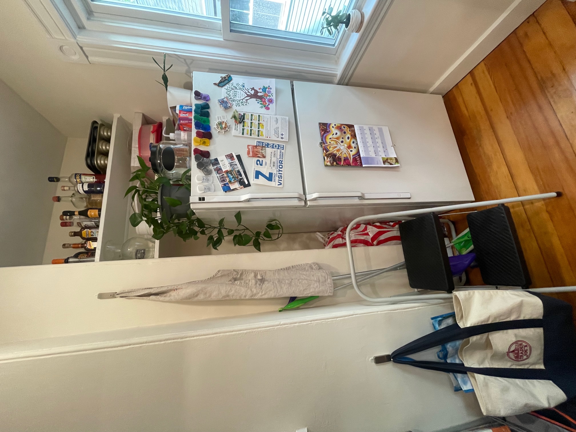 10 Chandler St, Davis Square