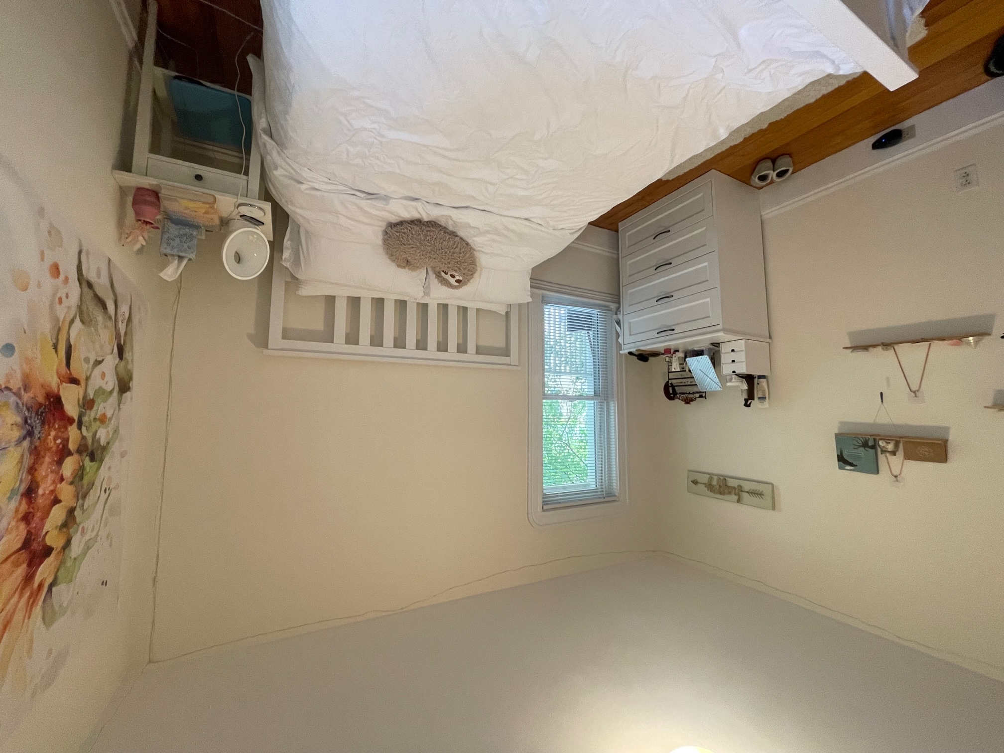 10 Chandler St, Davis Square