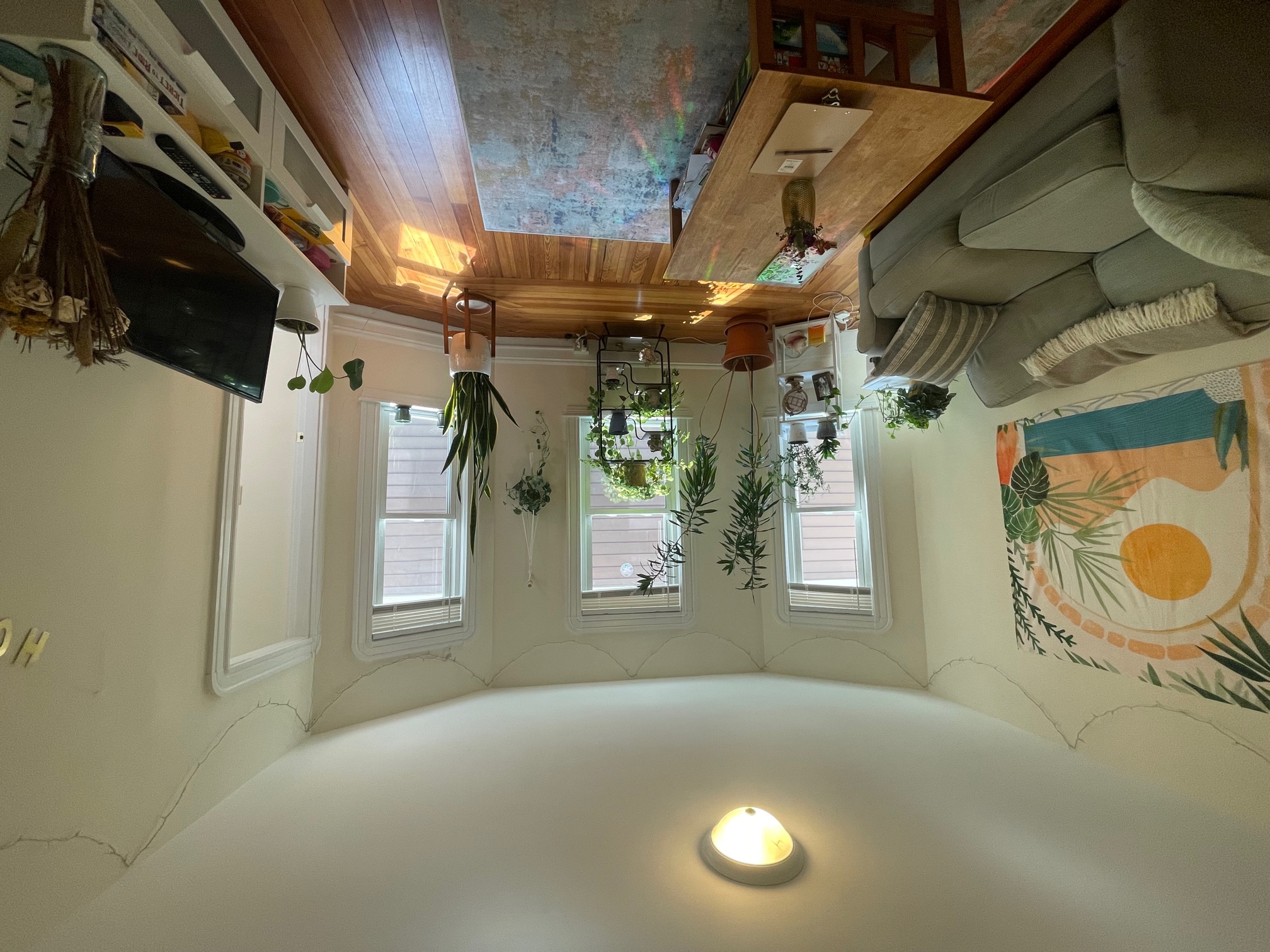 10 Chandler St, Davis Square