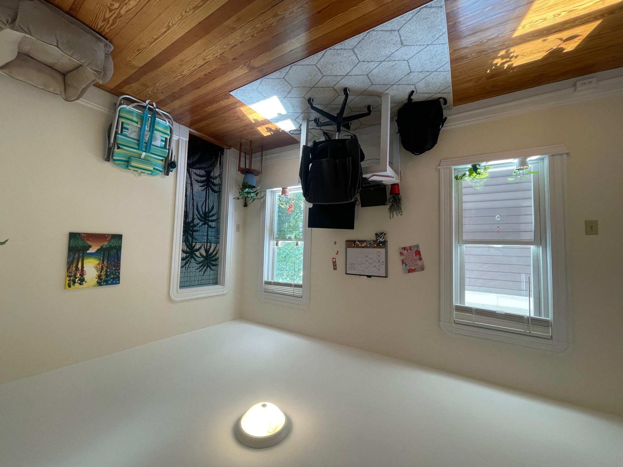 10 Chandler St, Davis Square